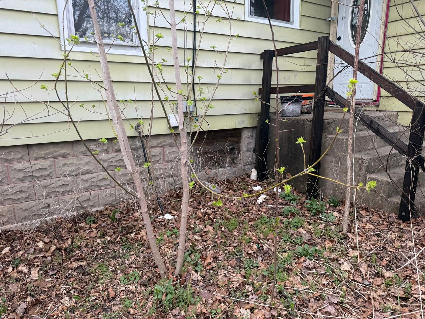 10802 West Yorkhouse Road Beach Park, IL 60087 - Photo 4 of 66 a view of a backyard of the house