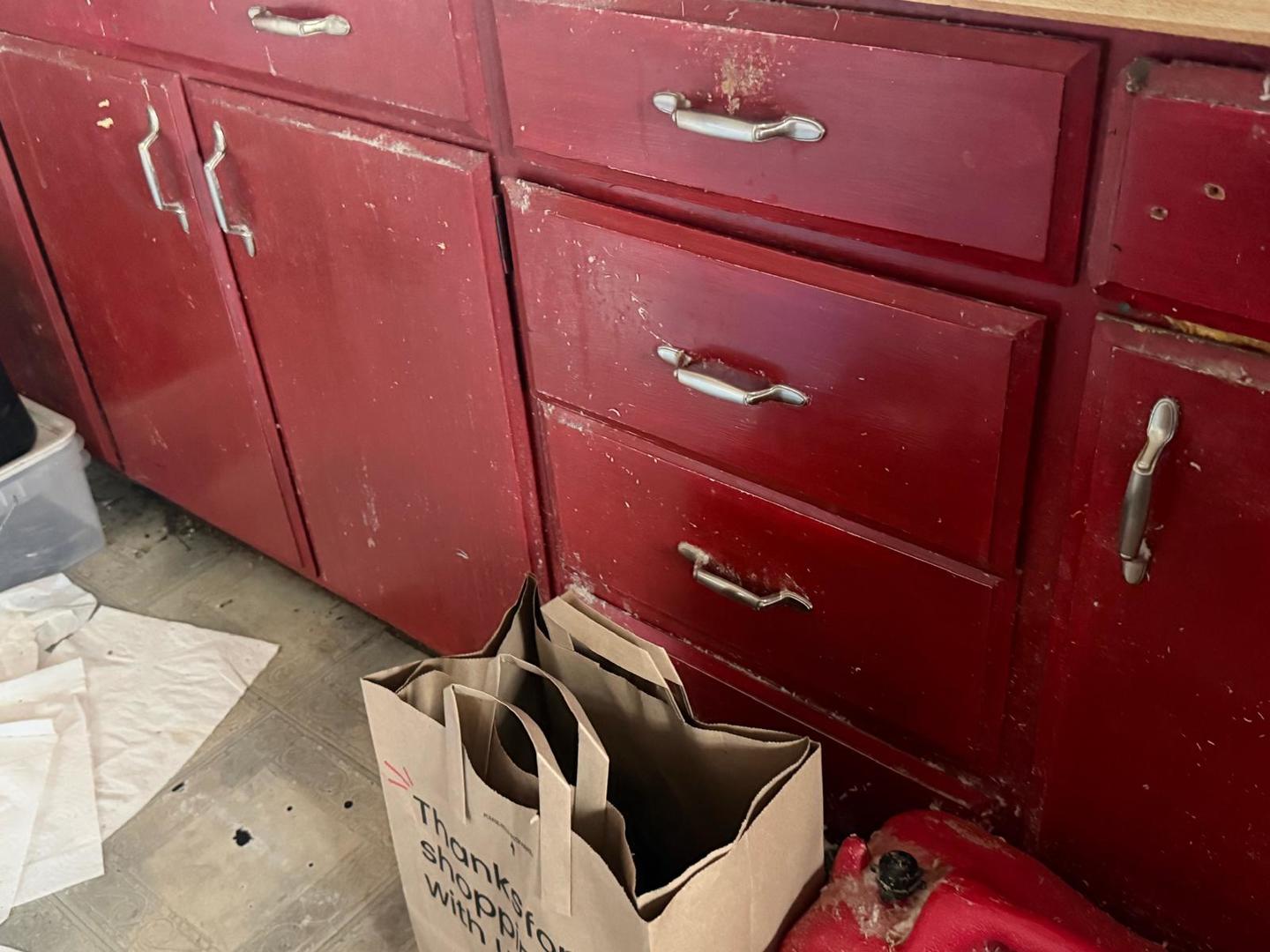 10802 West Yorkhouse Road Beach Park, IL 60087 - Photo 62 of 66