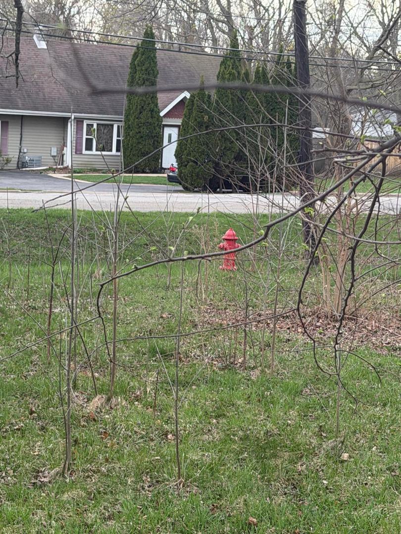 10802 West Yorkhouse Road Beach Park, IL 60087 - Photo 65 of 66 a backyard of a house with table and chairs
