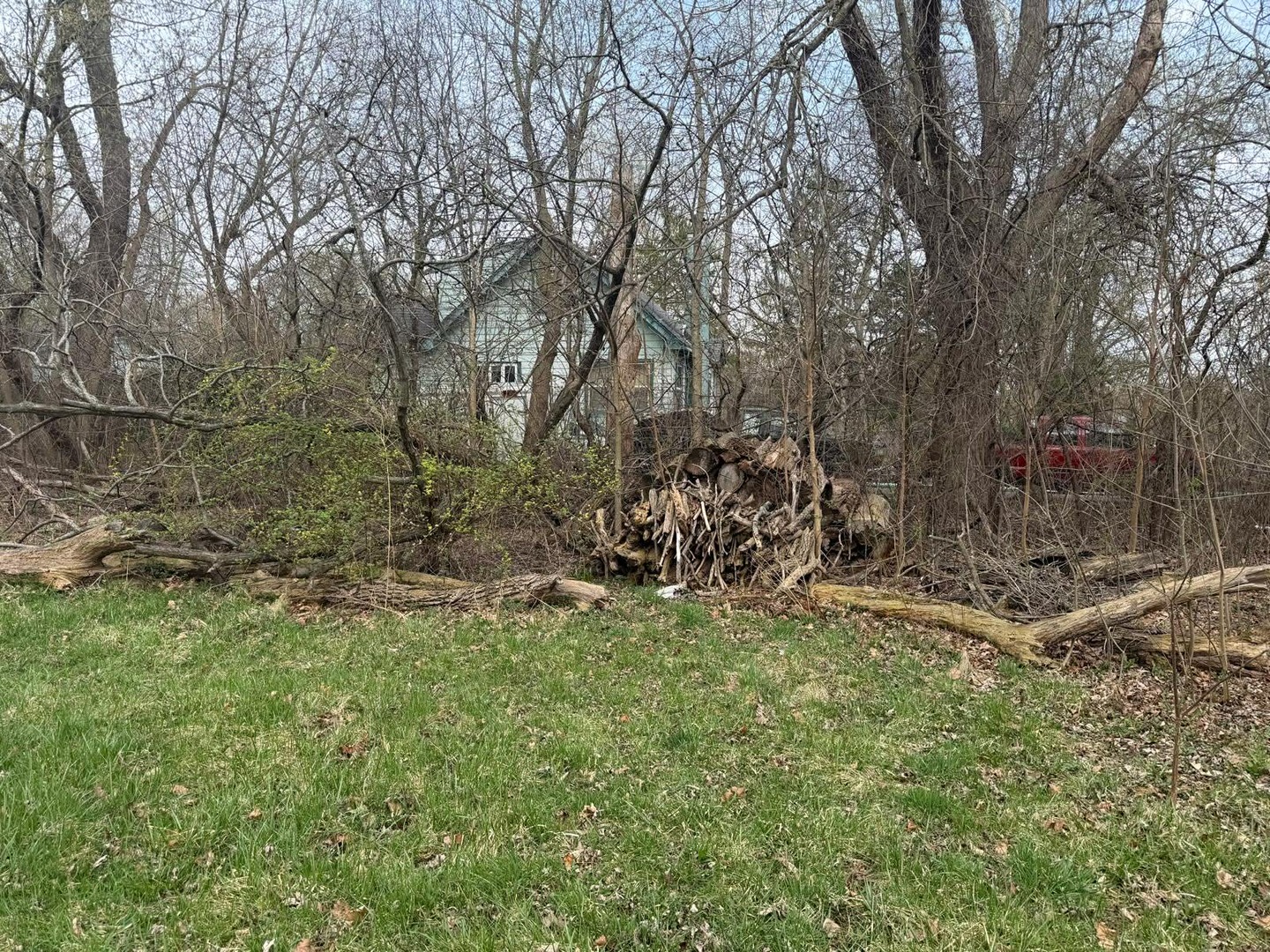 10802 West Yorkhouse Road Beach Park, IL 60087 - Photo 7 of 66 a backyard of a house with lots of green space