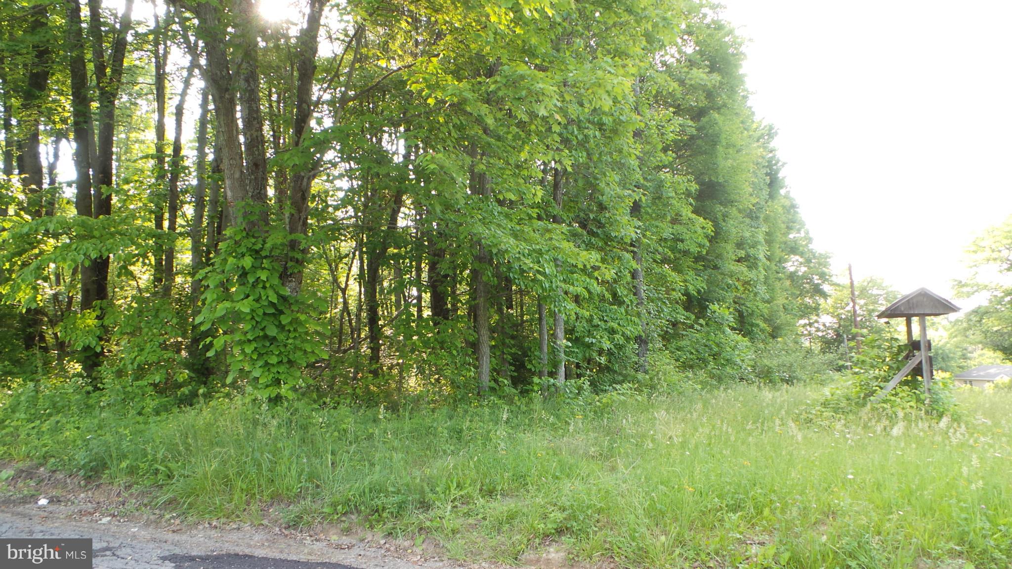 1 Fulton Road Hedgesville, WV 25427 - Photo 1 of 7 Exterior (General)
