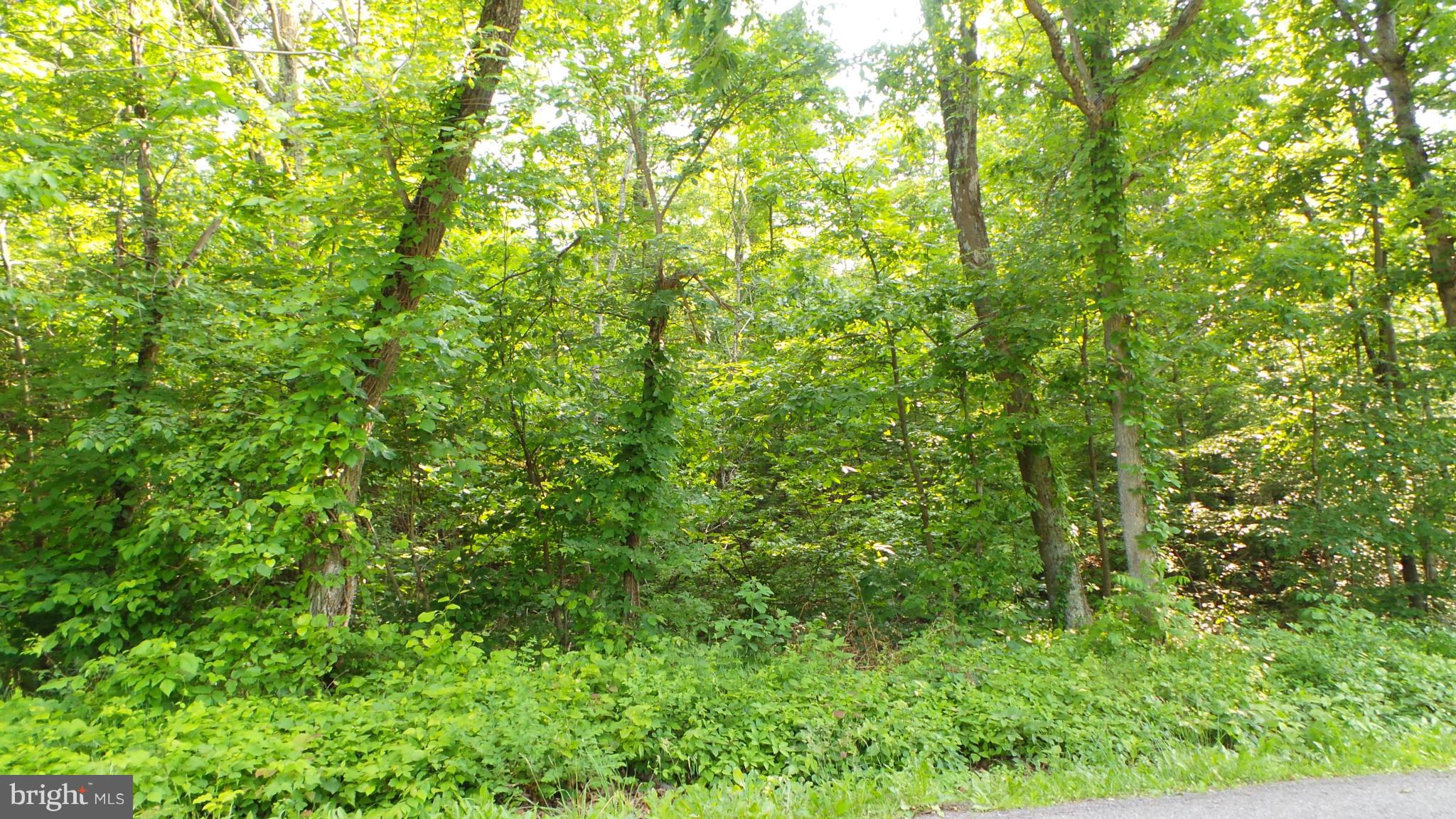 1 Fulton Road Hedgesville, WV 25427 - Photo 6 of 7 Exterior (General)