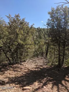 $167,500 | 41-42 Antelope Trail Road, Unit 41 & 42, Payson, AZ 85541