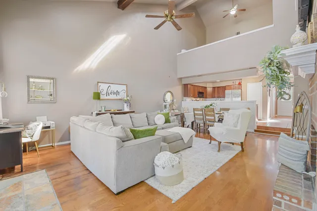 a living room with furniture potted plant and a ceiling fan