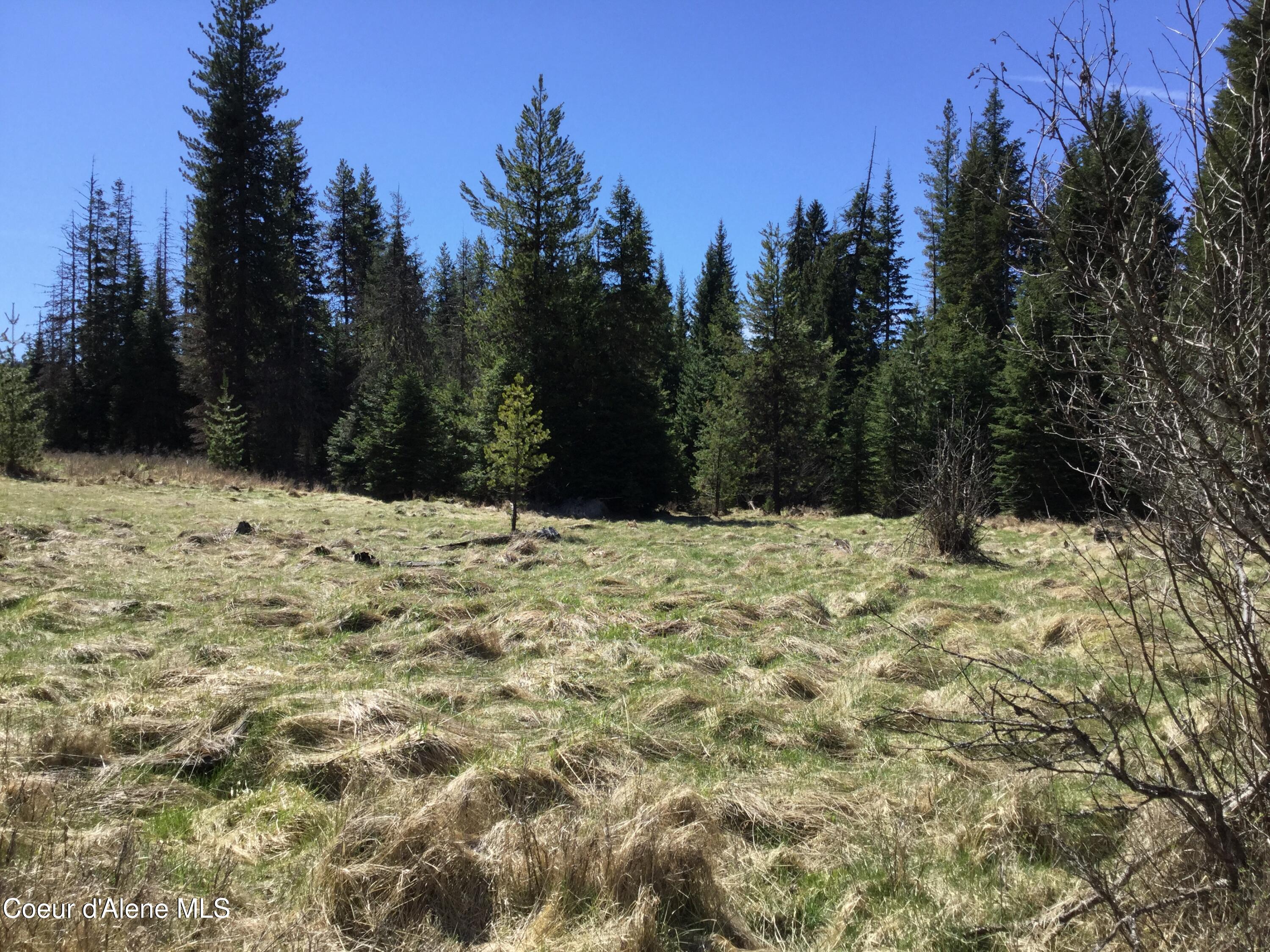 Tyson Creek Road Fernwood, ID 83830 - Photo 11 of 14 IMG_1162