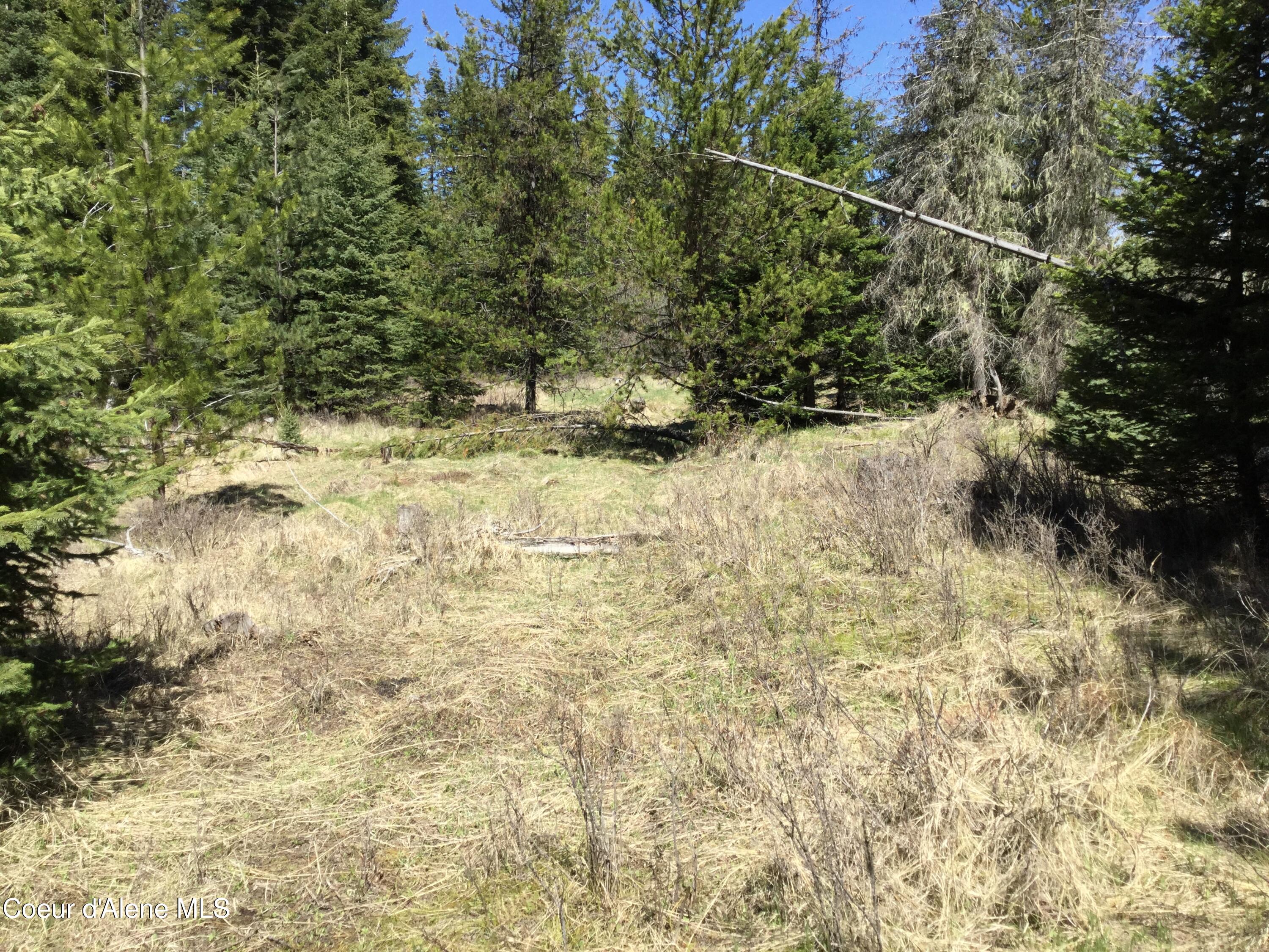 Tyson Creek Road Fernwood, ID 83830 - Photo 12 of 14 IMG_1174