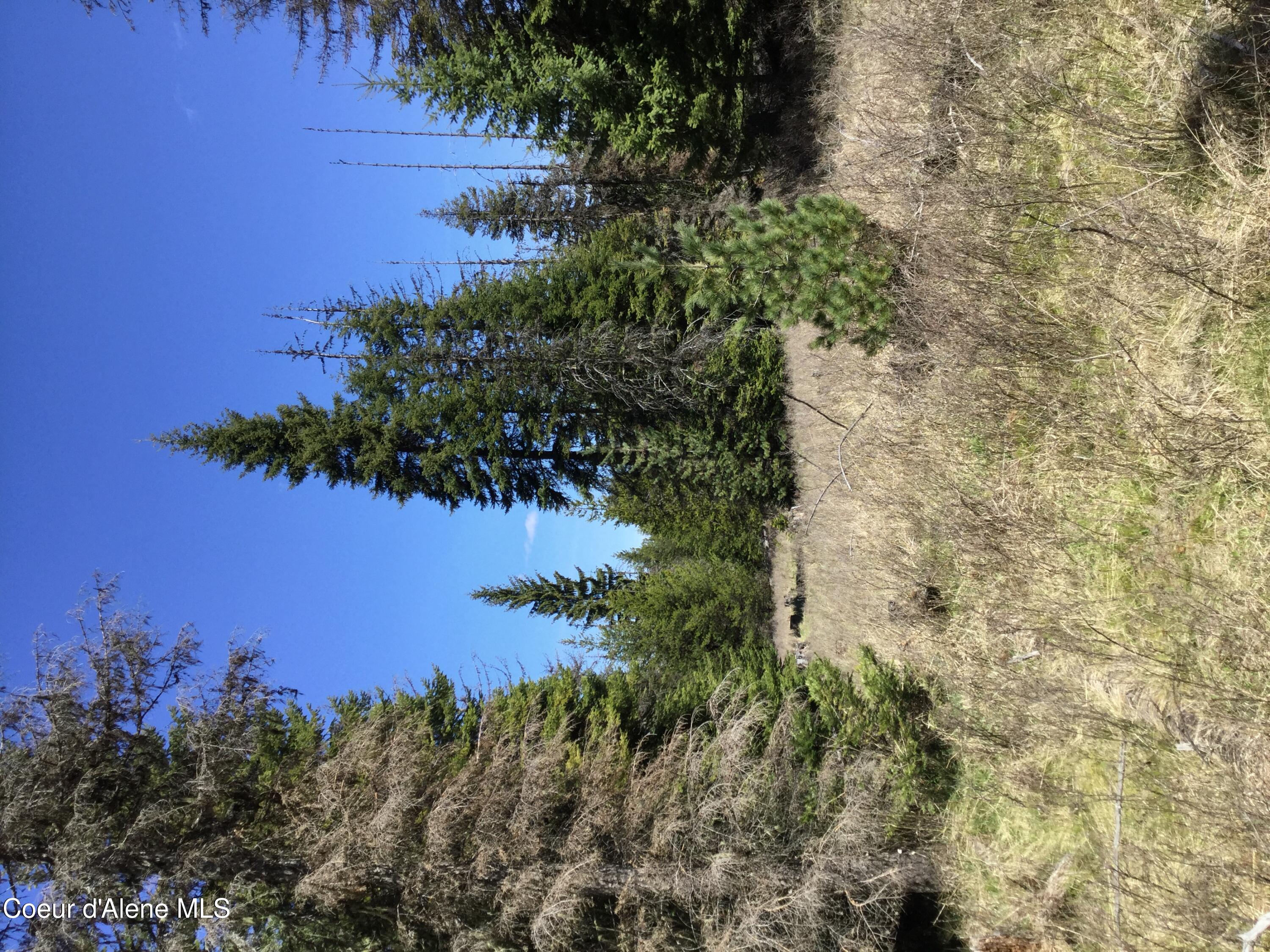 Tyson Creek Road Fernwood, ID 83830 - Photo 13 of 14 IMG_1179