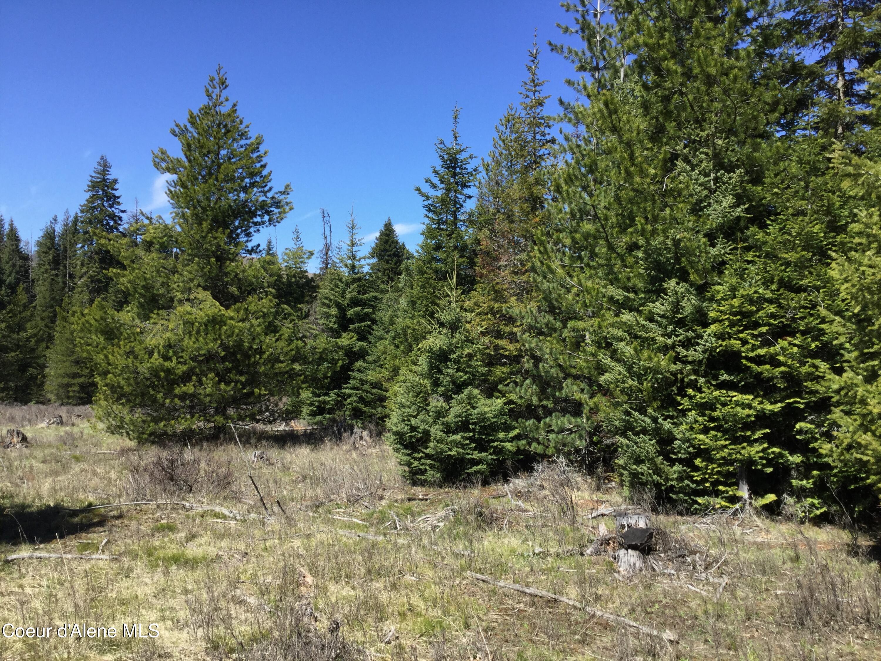 Tyson Creek Road Fernwood, ID 83830 - Photo 14 of 14 IMG_1181