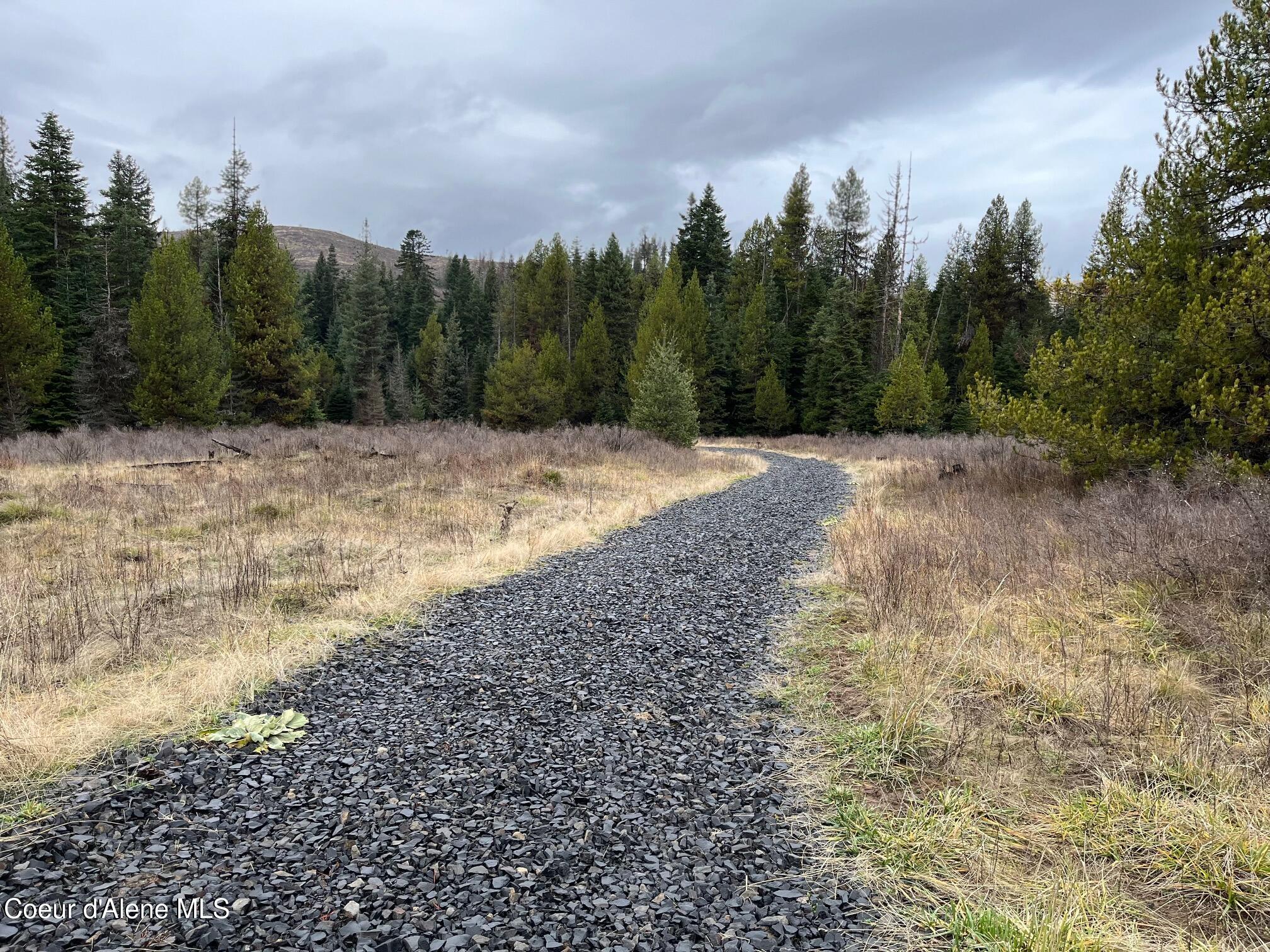 Tyson Creek Road Fernwood, ID 83830 - Photo 3 of 14 IMG_0584