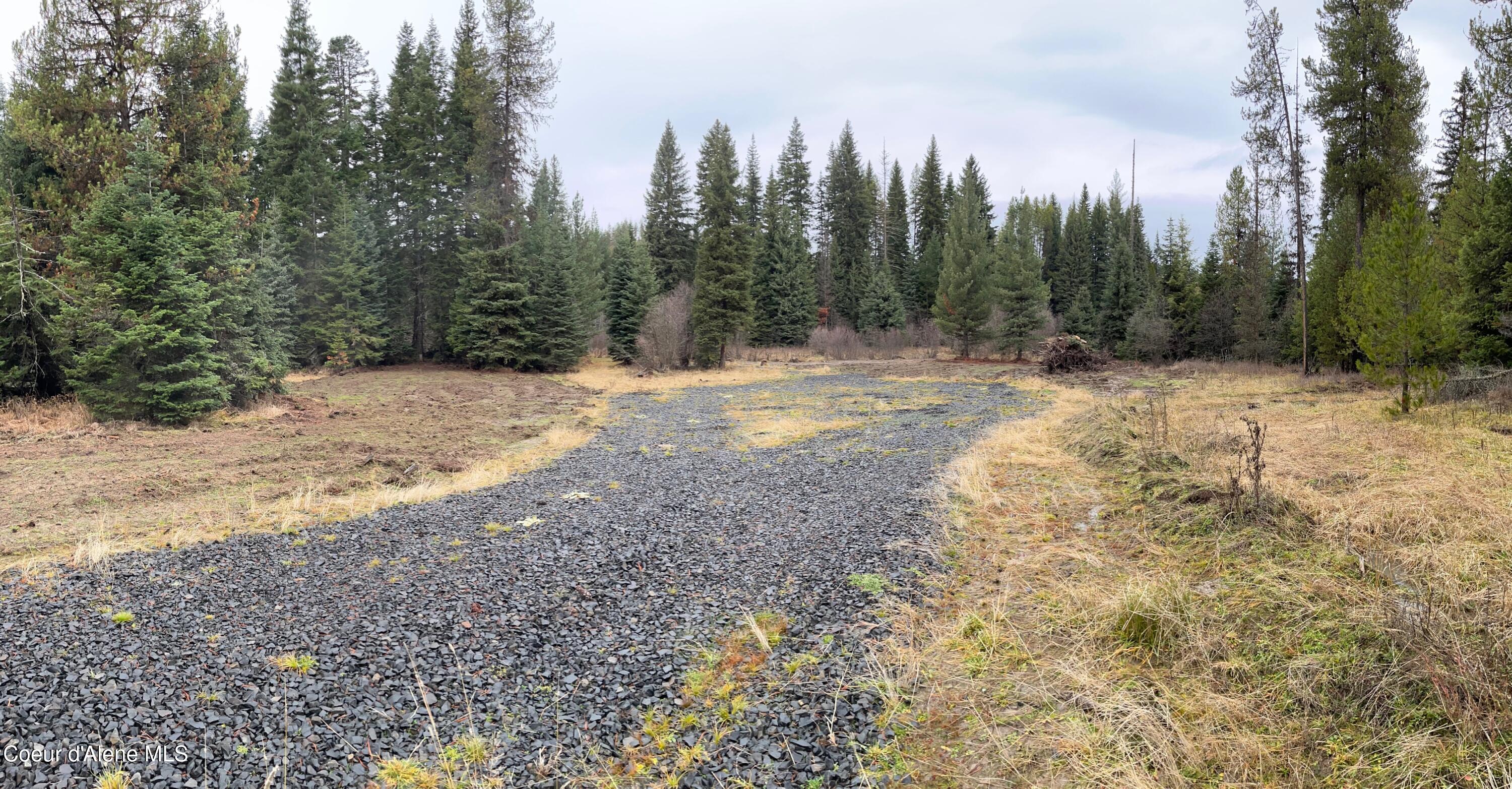 Tyson Creek Road Fernwood, ID 83830 - Photo 4 of 14 IMG_0592