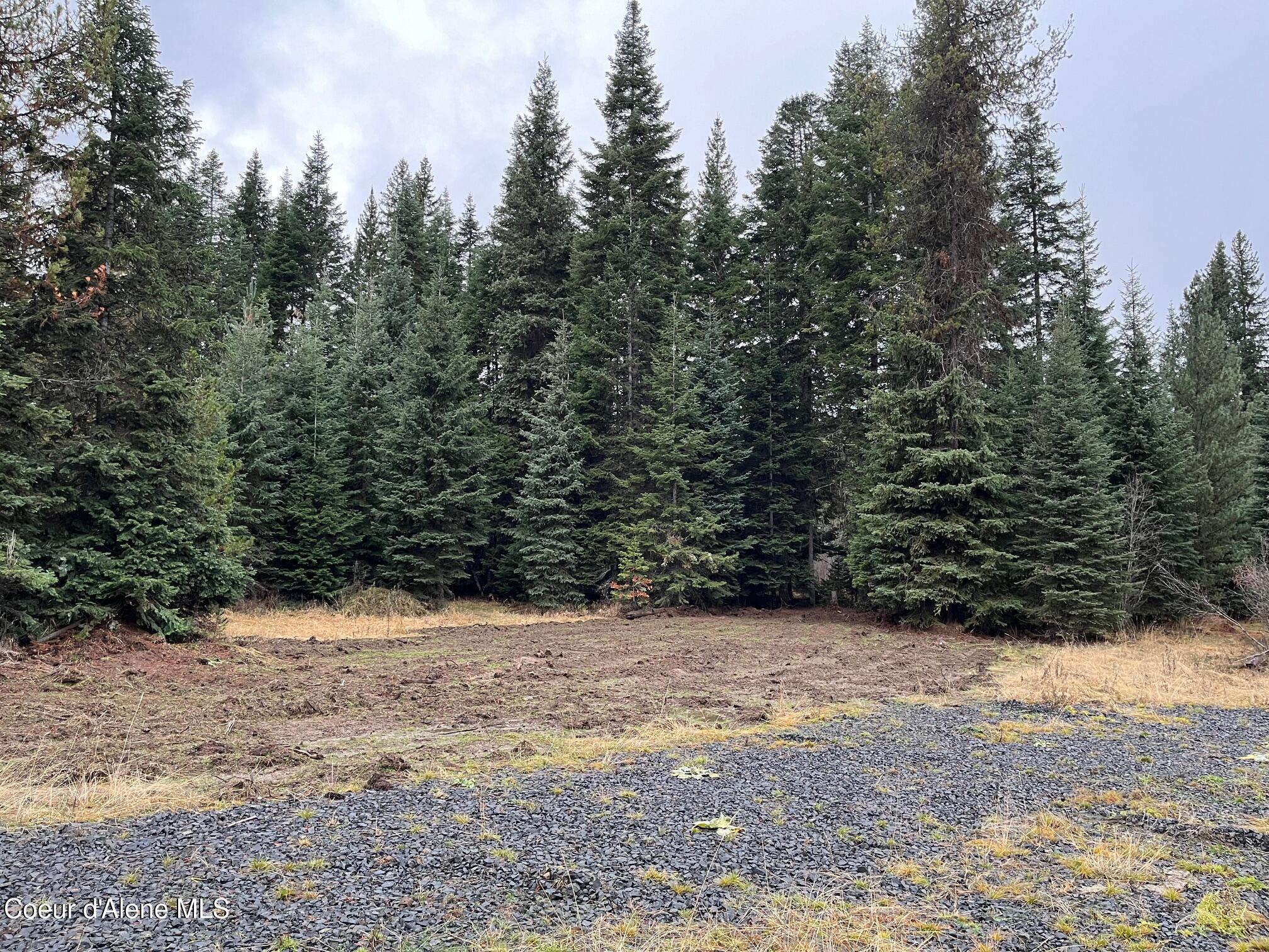 Tyson Creek Road Fernwood, ID 83830 - Photo 5 of 14 IMG_0593