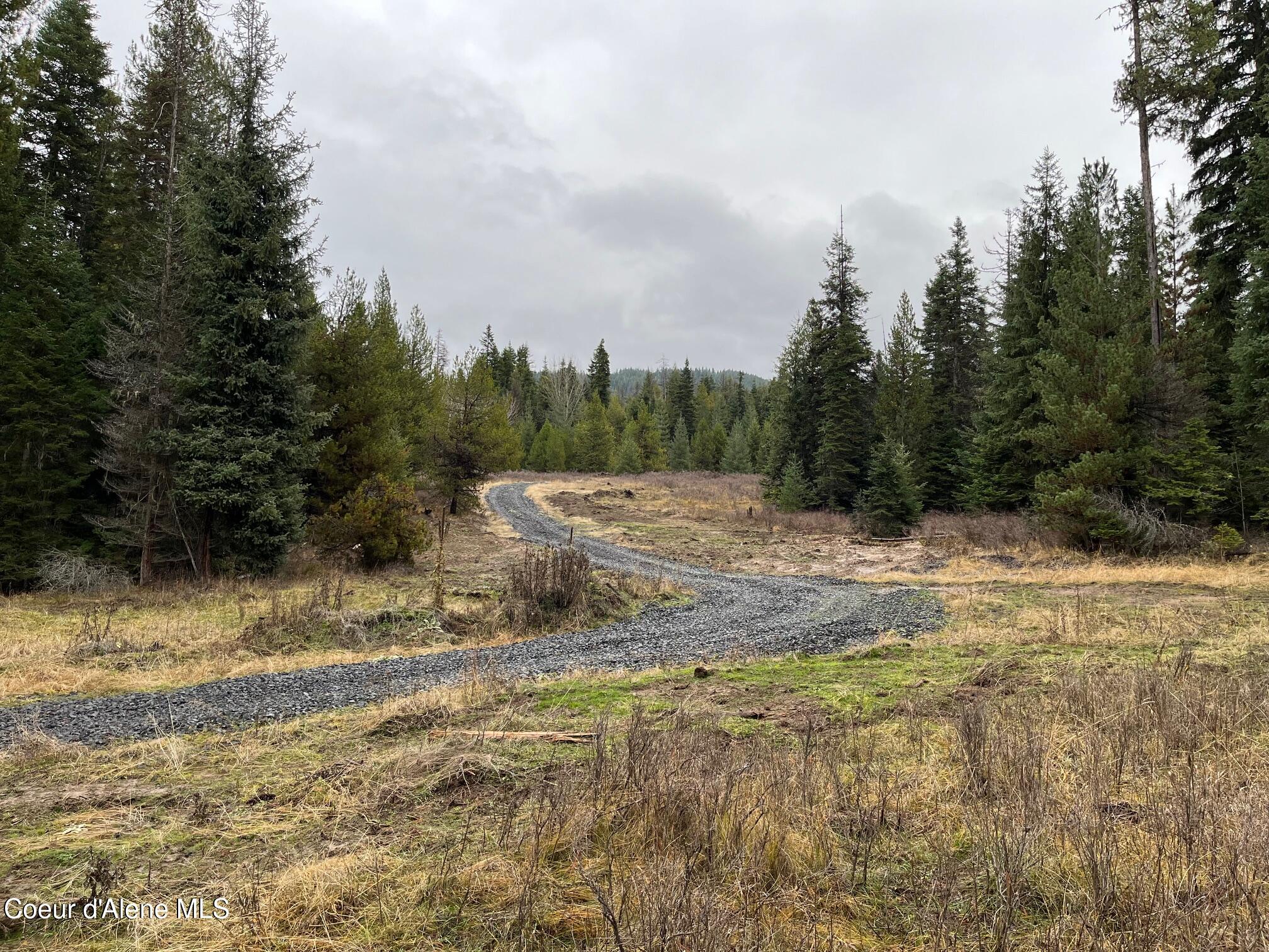 Tyson Creek Road Fernwood, ID 83830 - Photo 6 of 14 IMG_0595