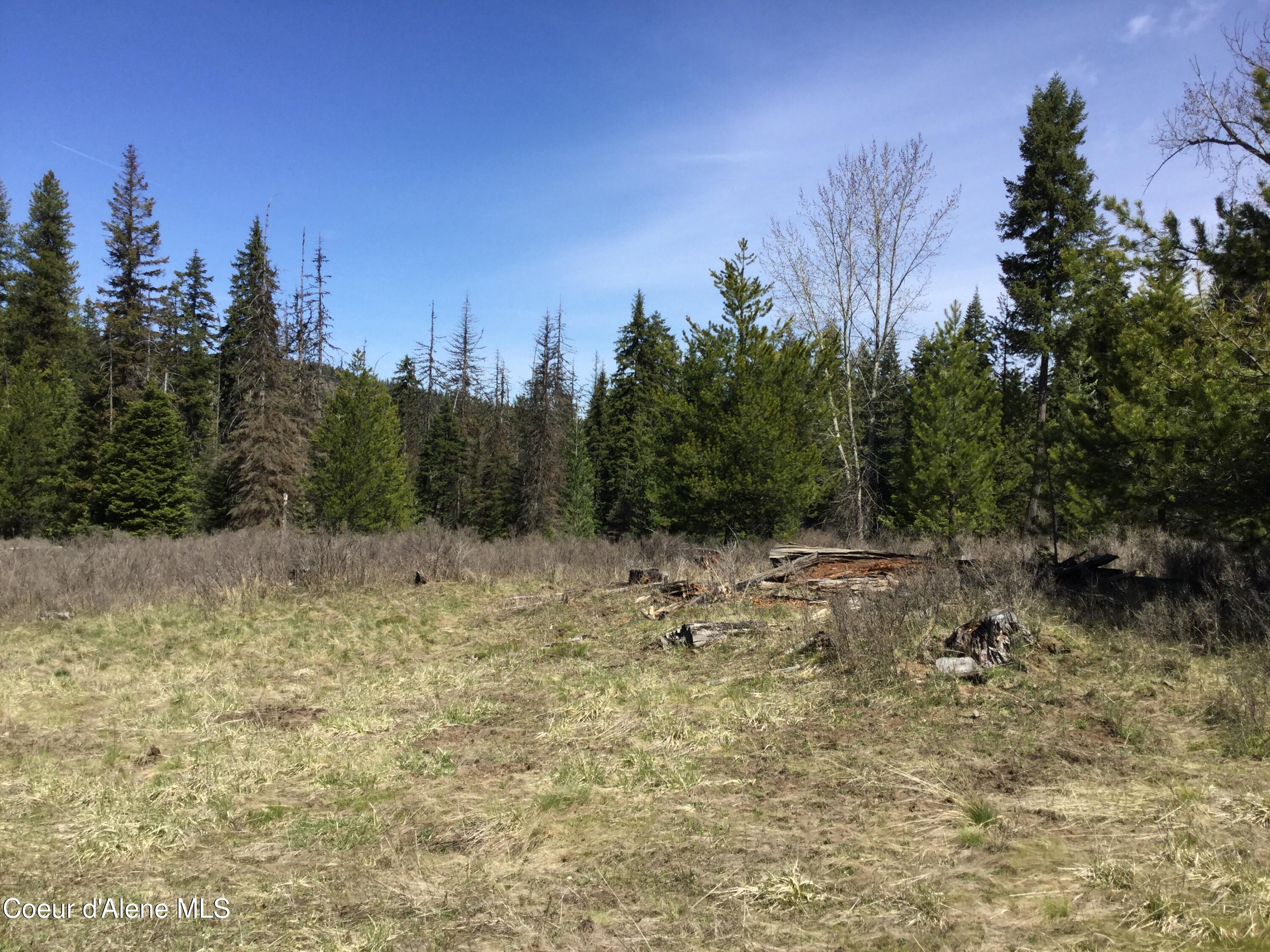 Tyson Creek Road Fernwood, ID 83830 - Photo 7 of 14 IMG_1137