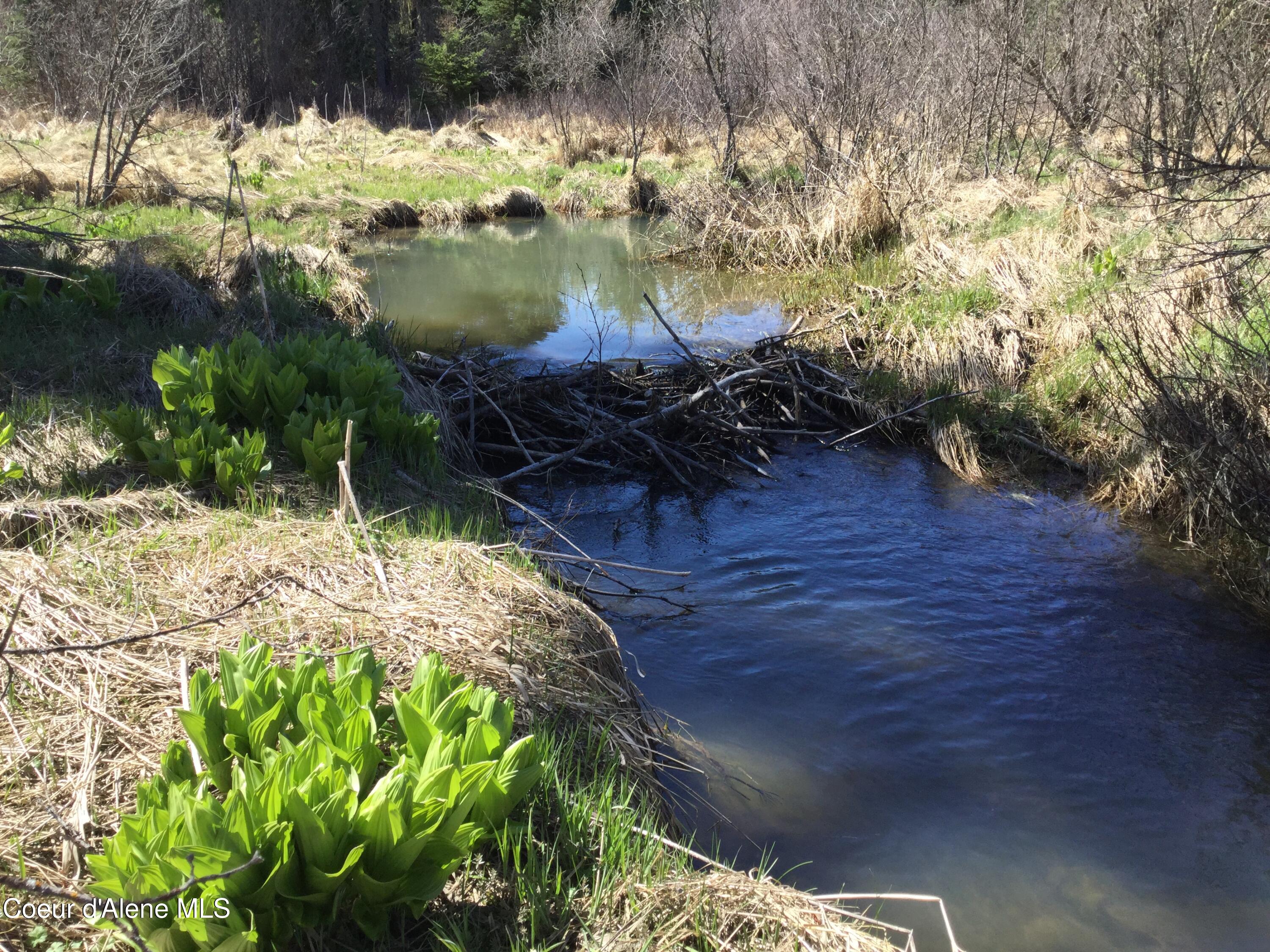 Tyson Creek Road Fernwood, ID 83830 - Photo 9 of 14 IMG_1152