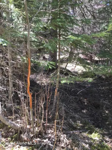 $300,000 | Tyson Creek Road, Fernwood, ID 83830