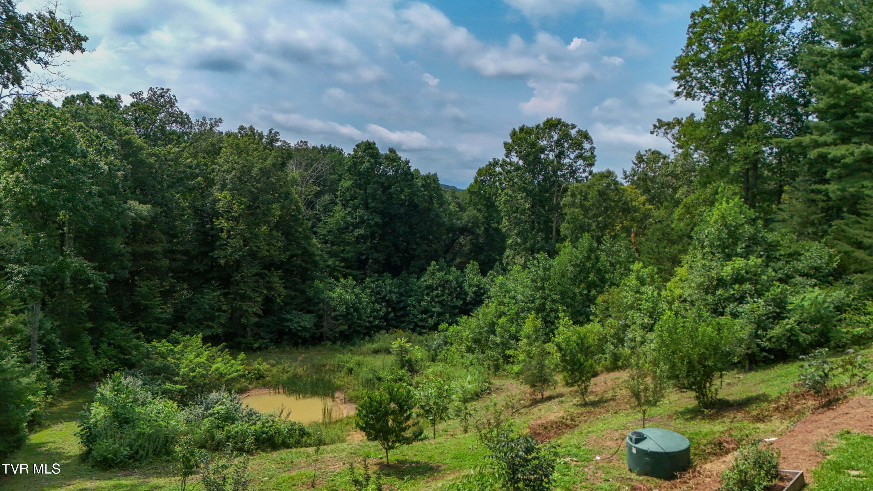 2438 Denton Valley Road Bristol, TN 37620 - Photo 52 of 56 82-print-2438 Denton Valley Rd HB-21