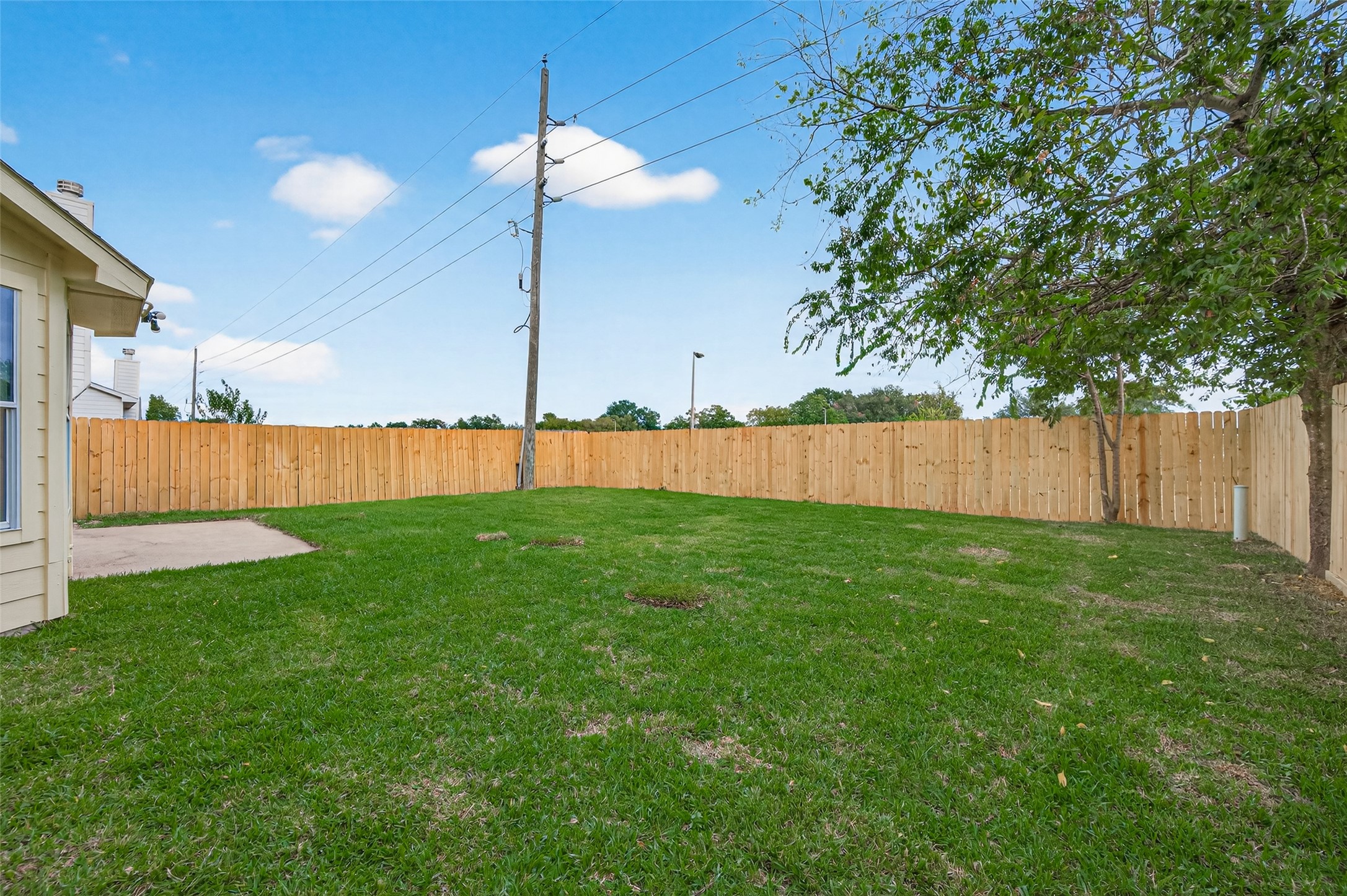 3322 Brackenfern Road Katy, TX 77449 - Photo 6 of 38 a view of yard