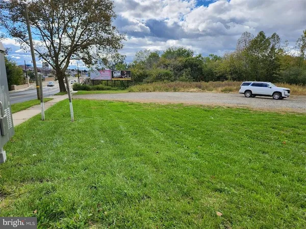 a car parked in the middle of a park