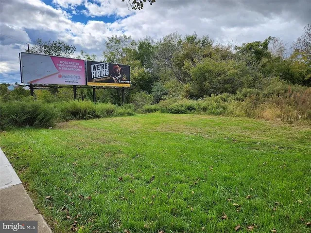 a view of a big yard with potted plants