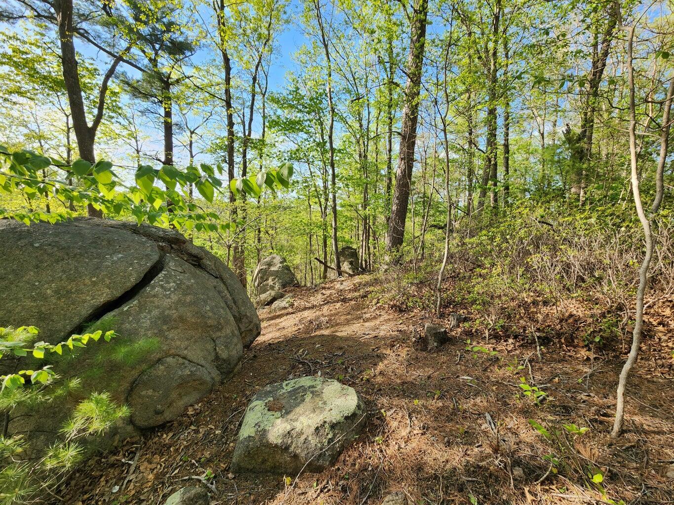 Lot 100 Lakeshore Terrace Road Hardy, VA 24101 - Photo 13 of 17 012