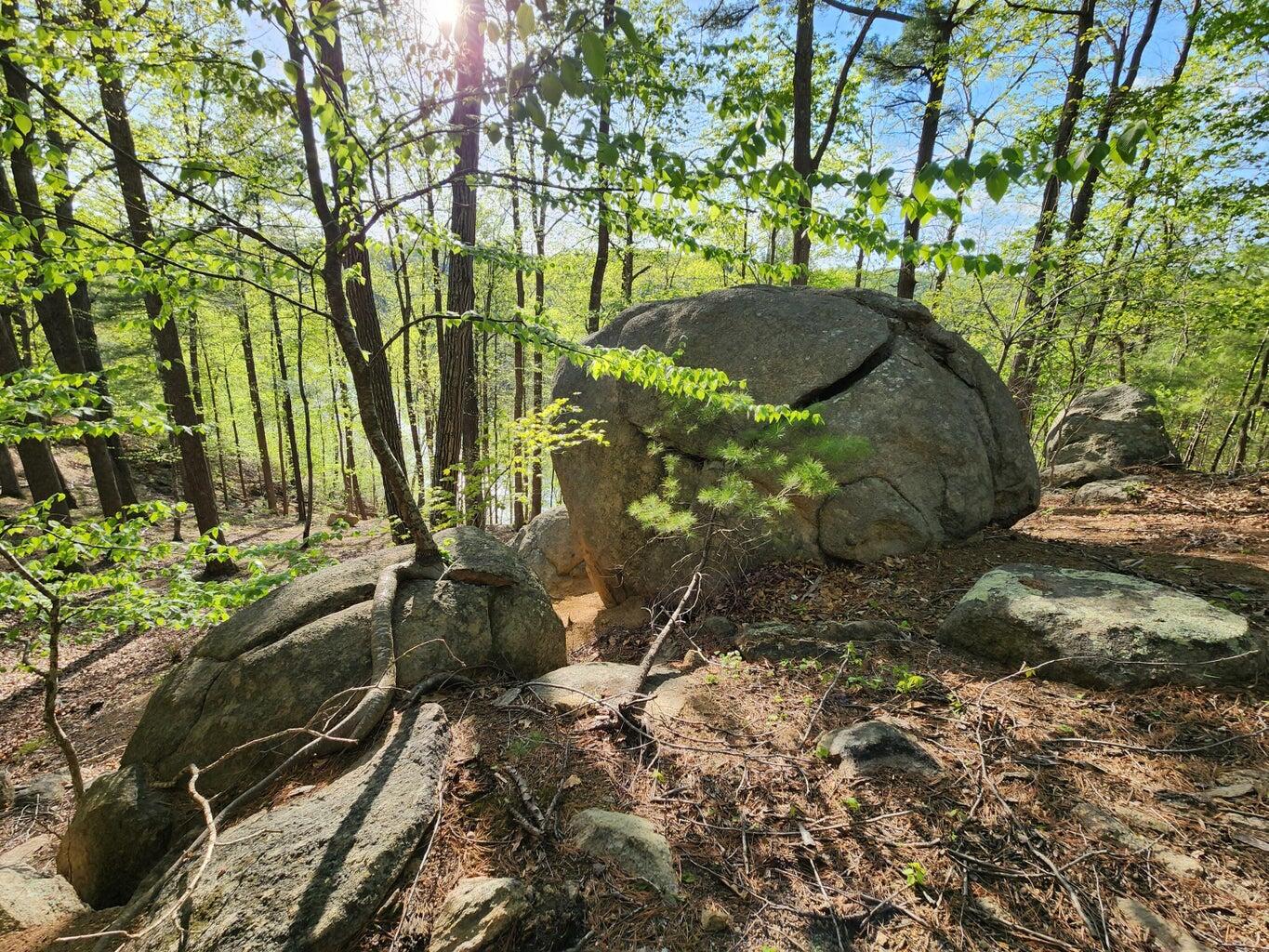 Lot 100 Lakeshore Terrace Road Hardy, VA 24101 - Photo 14 of 17 013