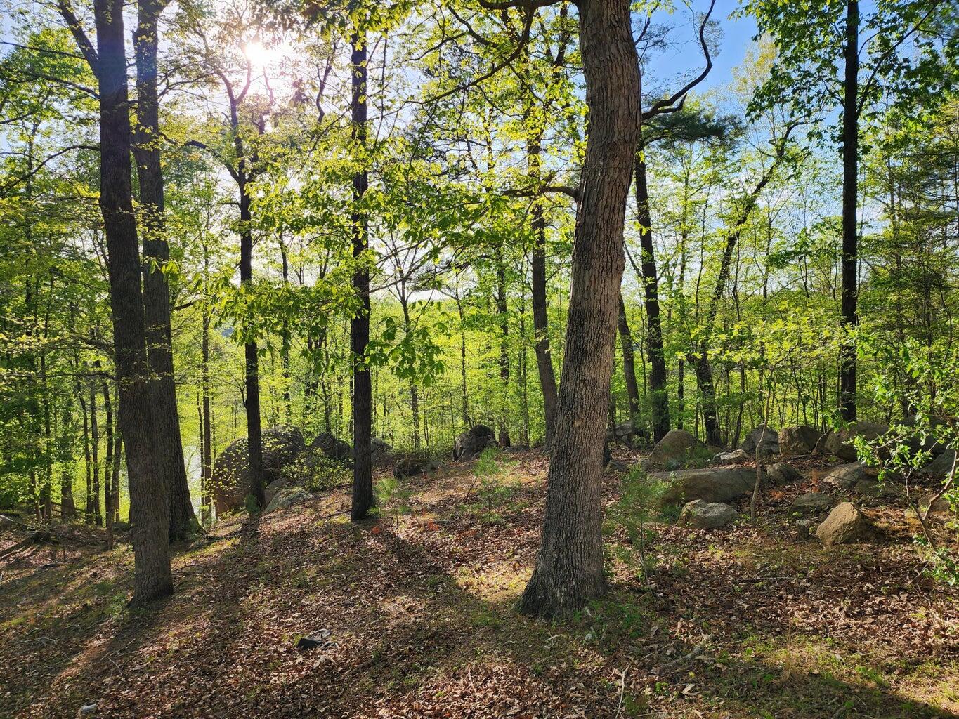 Lot 100 Lakeshore Terrace Road Hardy, VA 24101 - Photo 15 of 17 014