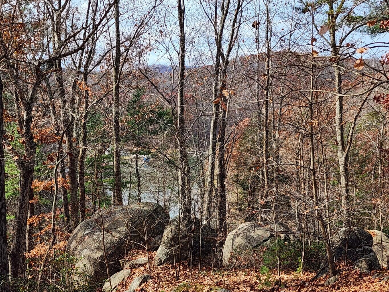 Lot 100 Lakeshore Terrace Road Hardy, VA 24101 - Photo 3 of 17 000