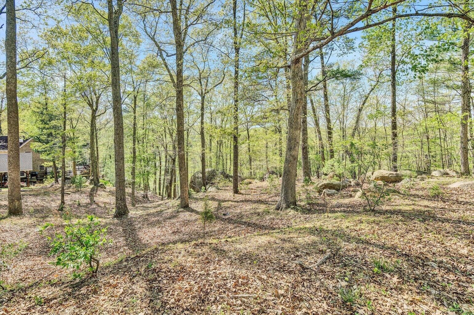 Lot 100 Lakeshore Terrace Road Hardy, VA 24101 - Photo 4 of 17 003