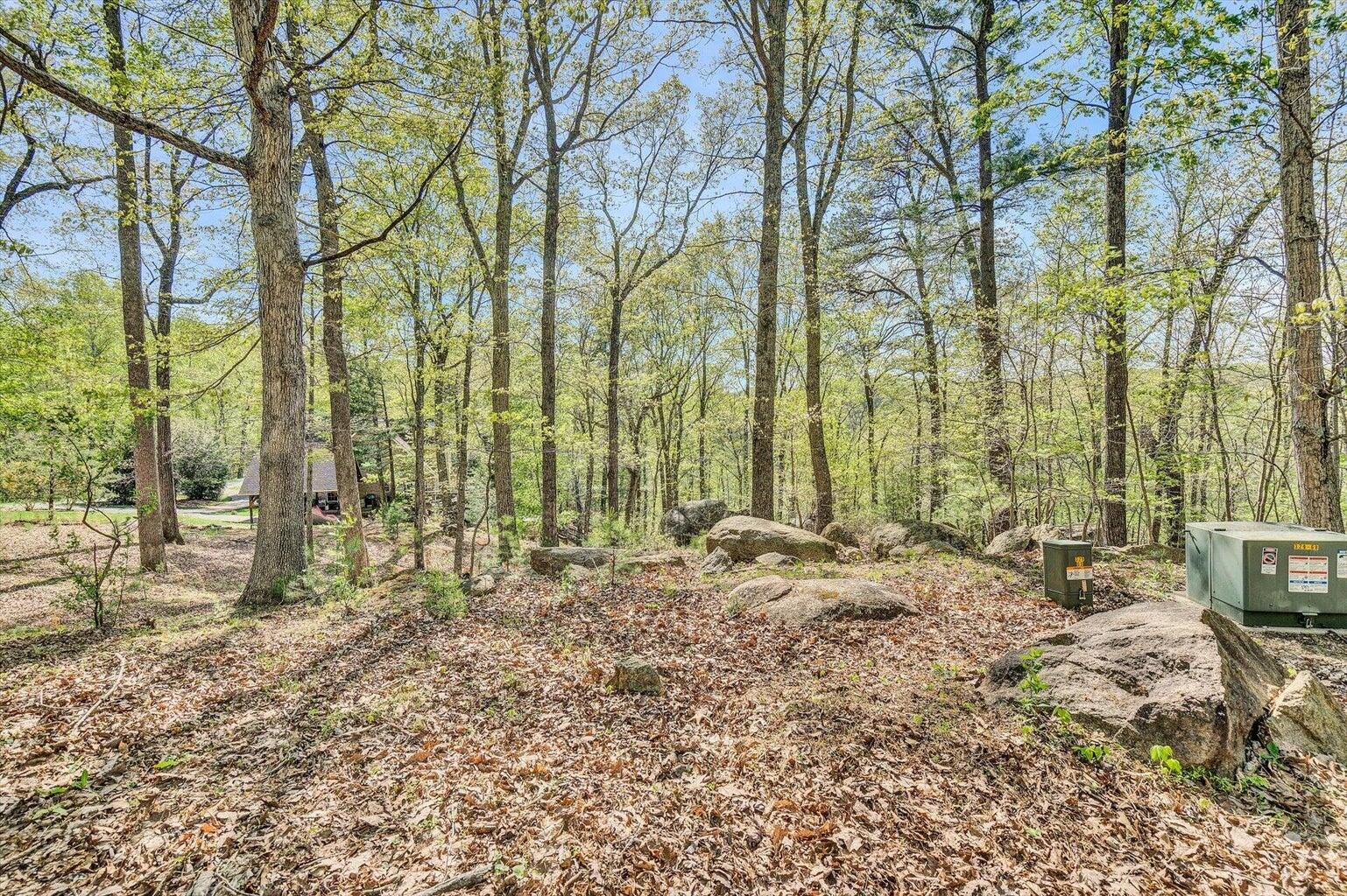 Lot 100 Lakeshore Terrace Road Hardy, VA 24101 - Photo 5 of 17 004