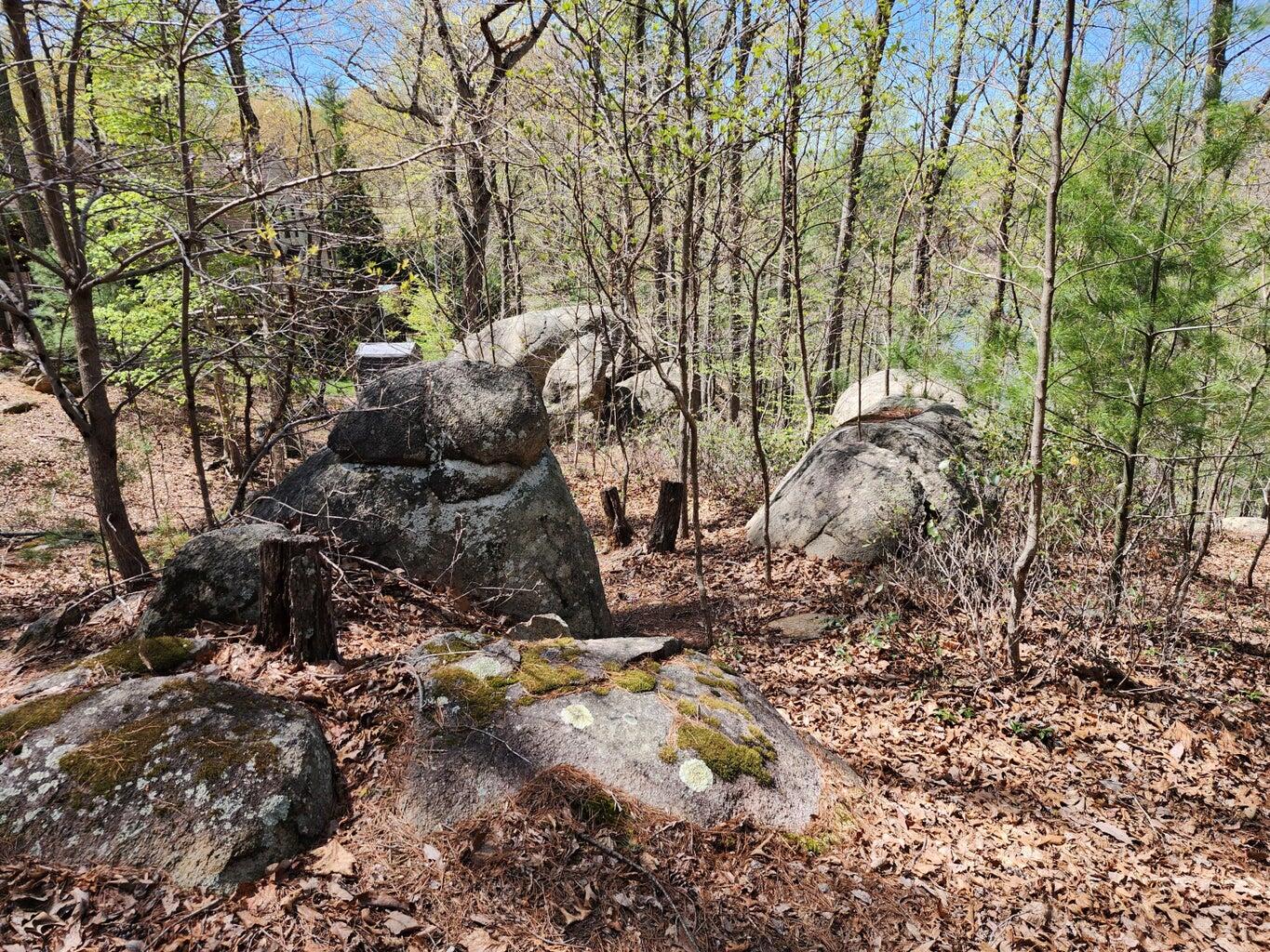 Lot 100 Lakeshore Terrace Road Hardy, VA 24101 - Photo 7 of 17 006