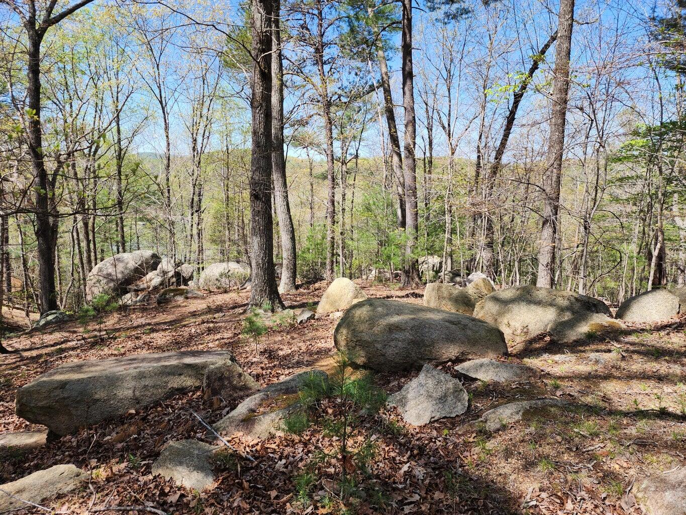 Lot 100 Lakeshore Terrace Road Hardy, VA 24101 - Photo 8 of 17 007