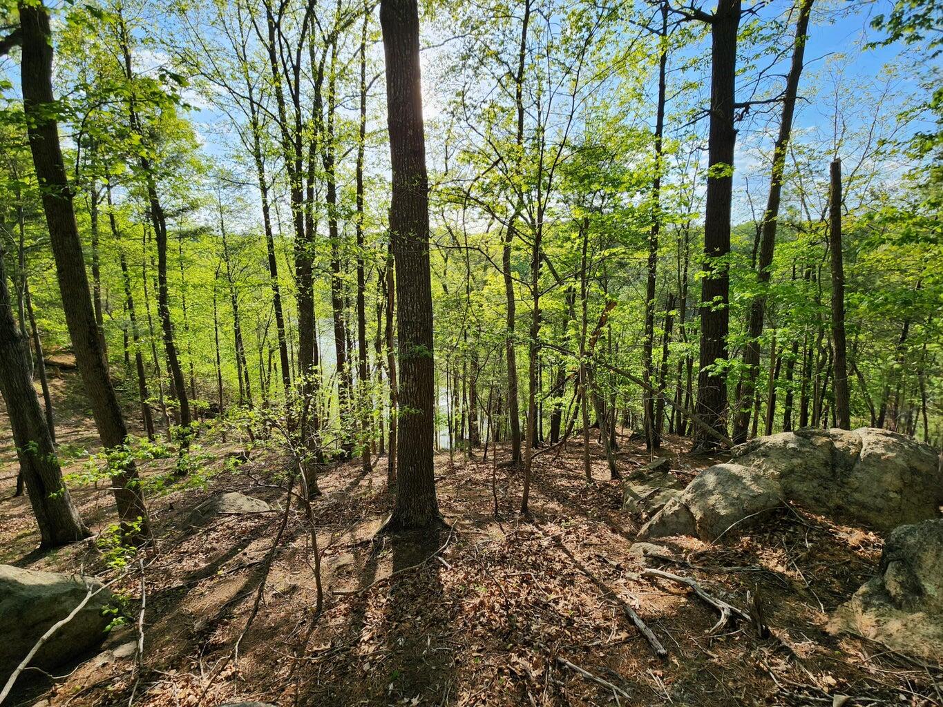 Lot 100 Lakeshore Terrace Road Hardy, VA 24101 - Photo 10 of 17 009