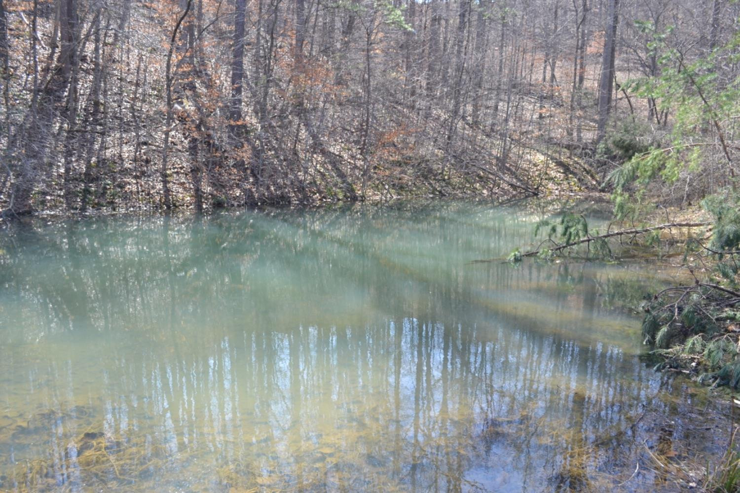 1216 Leger Fork Road Tyner, KY 40486 - Photo 62 of 68 Photo 62