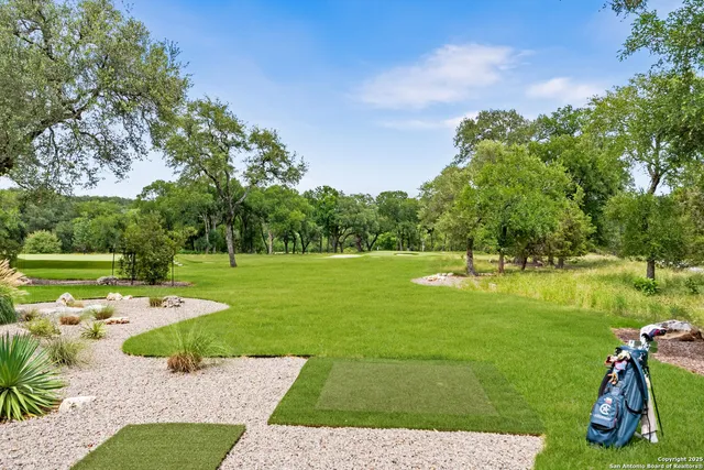 a view of a garden with trees