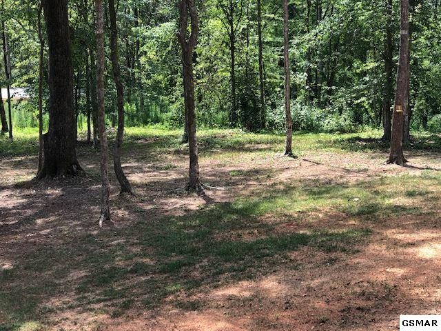 1754 Dumplin Loop Road New Market, TN 37820 - Photo 27 of 29 Gallery Image 27