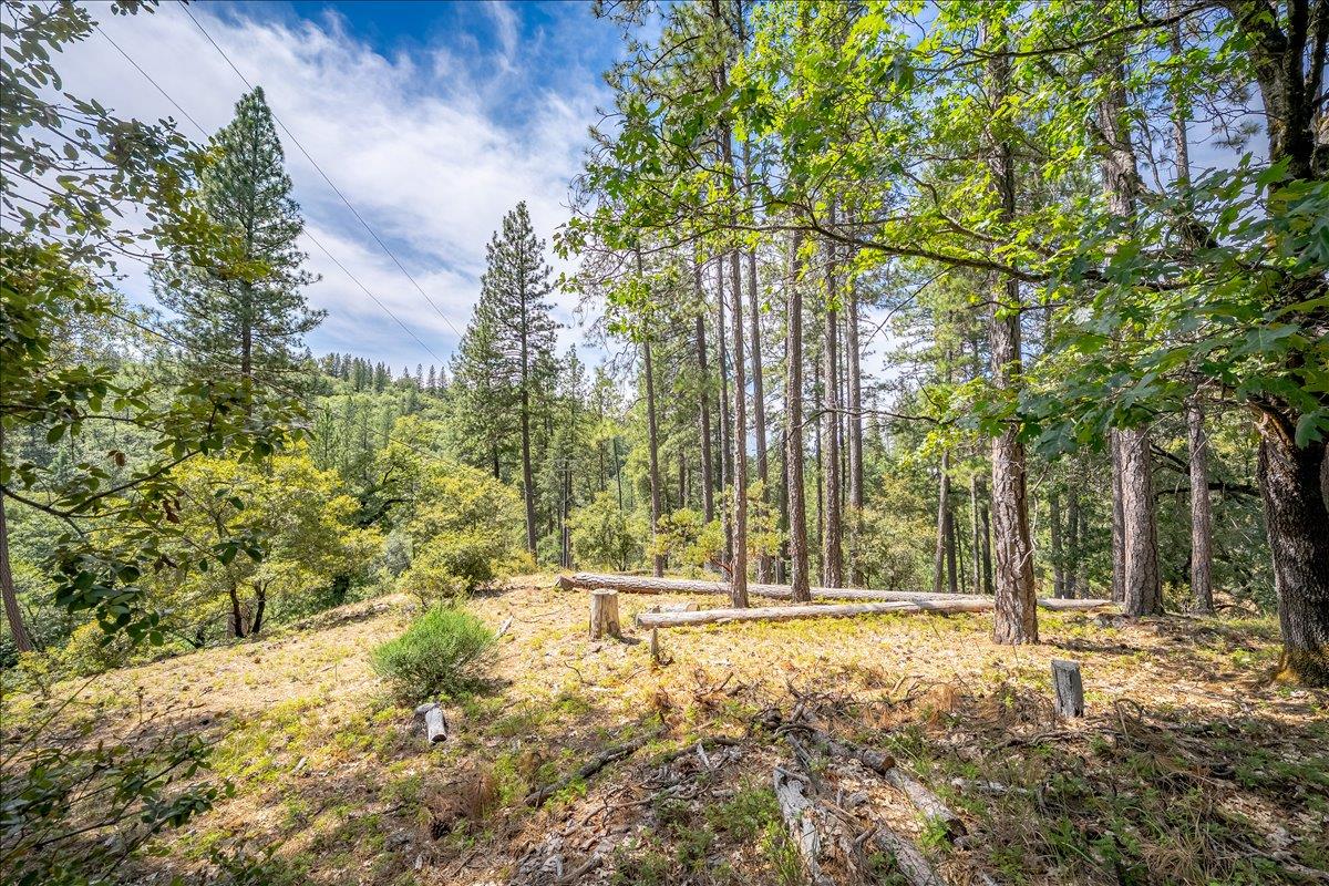 22600 Plumtree Road Colfax, CA 95713 - Photo 10 of 37