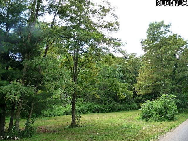 437 A Township Road Dresden, OH 43821 - Photo 5 of 5 Gallery Image 5