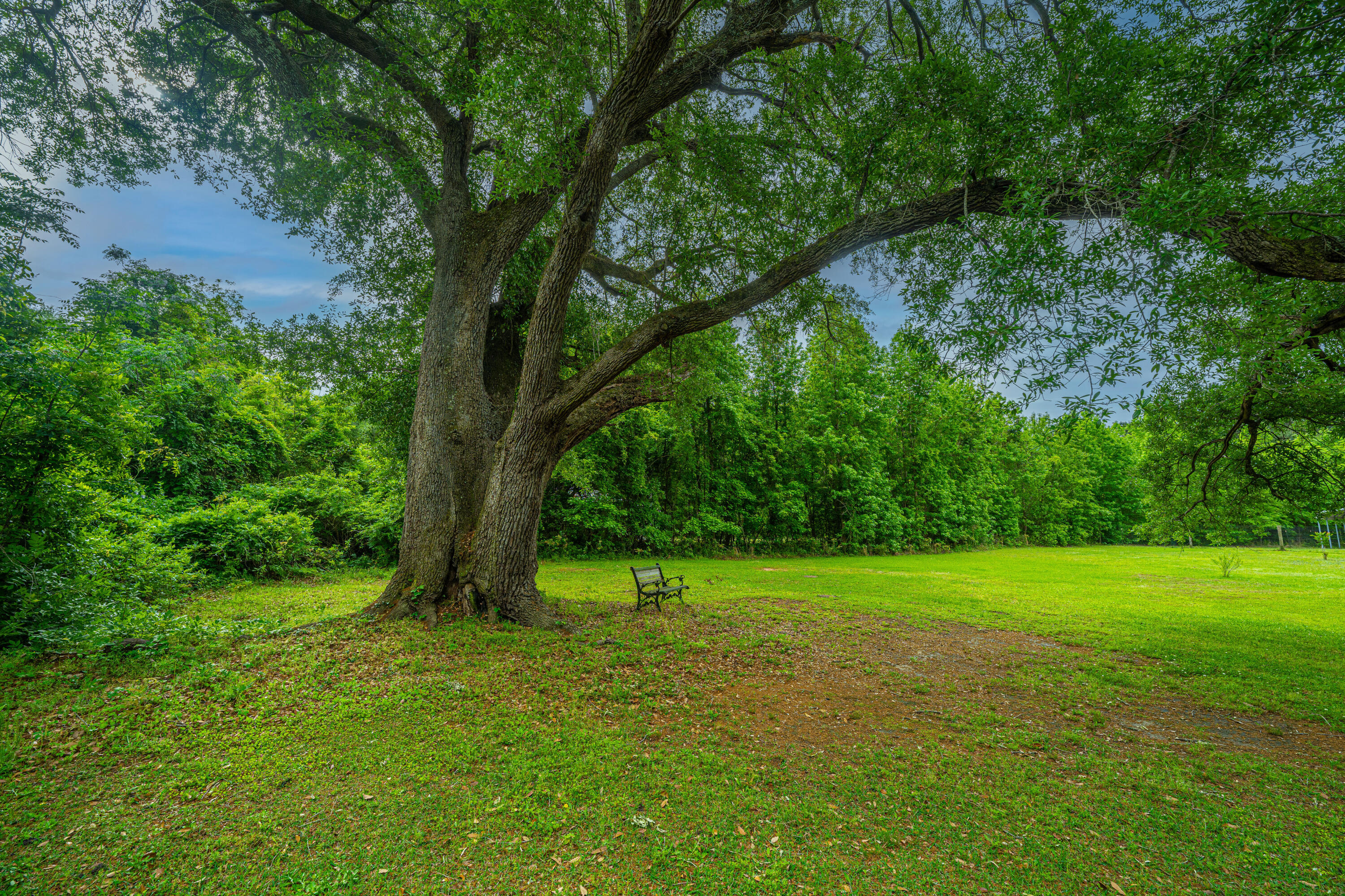 1347 Mandella Road Bonneau, SC 29431 - Photo 13 of 57 1347MandellaRd052