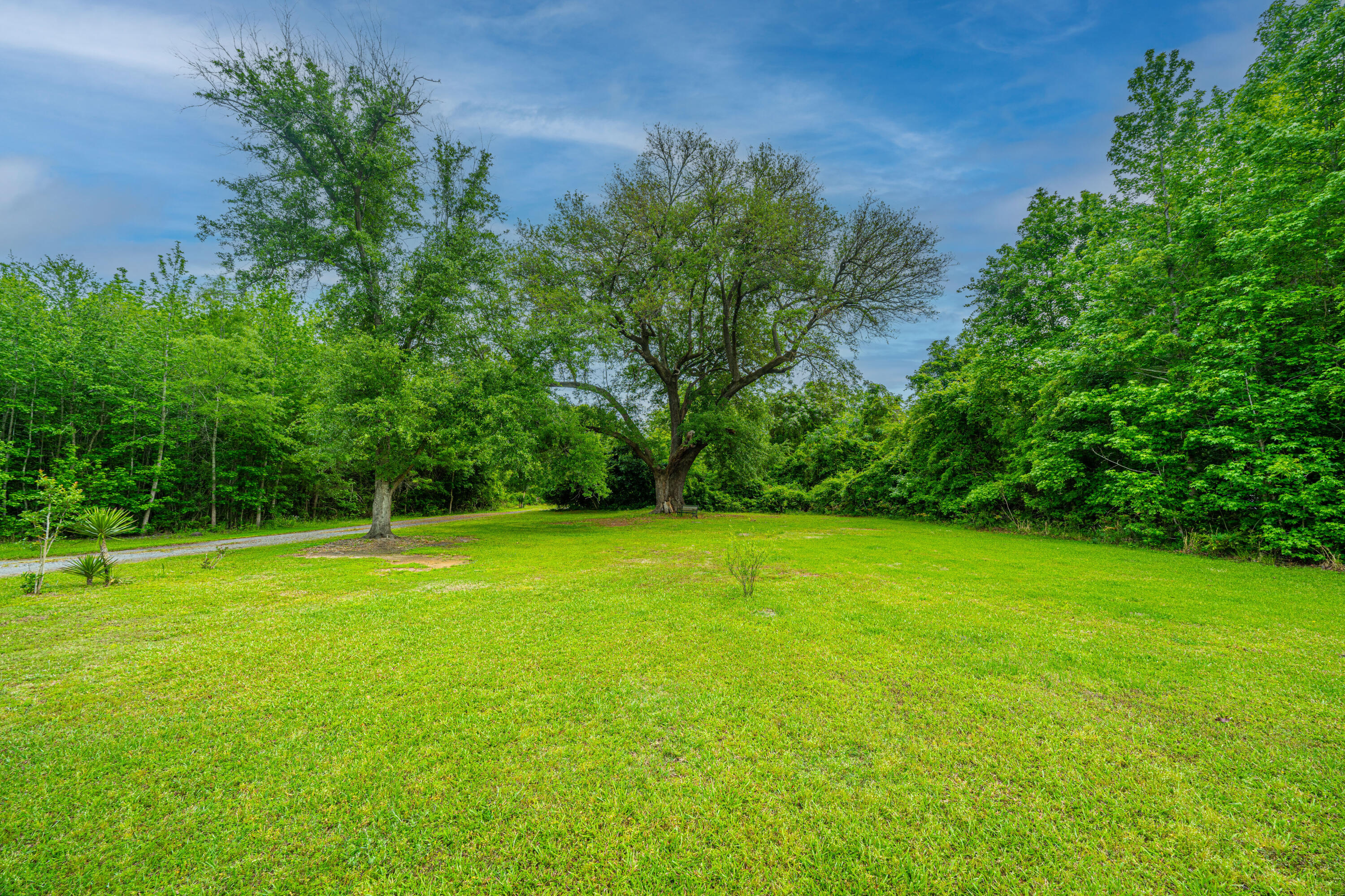 1347 Mandella Road Bonneau, SC 29431 - Photo 15 of 57 1347MandellaRd054