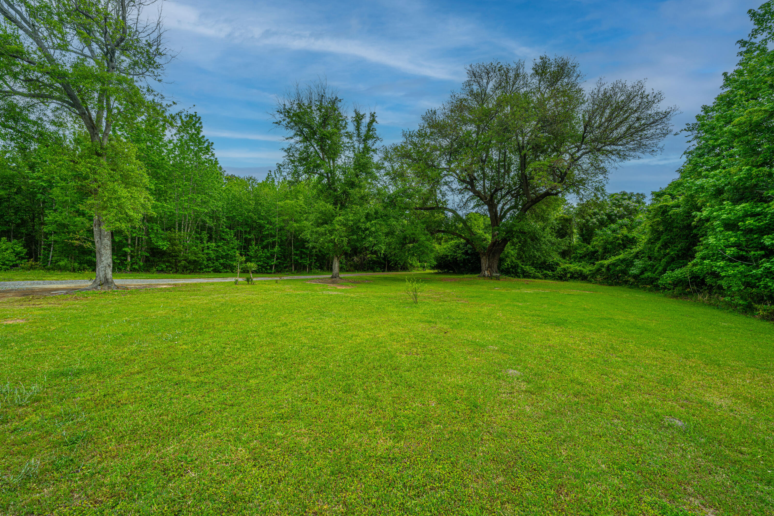 1347 Mandella Road Bonneau, SC 29431 - Photo 16 of 57 1347MandellaRd055