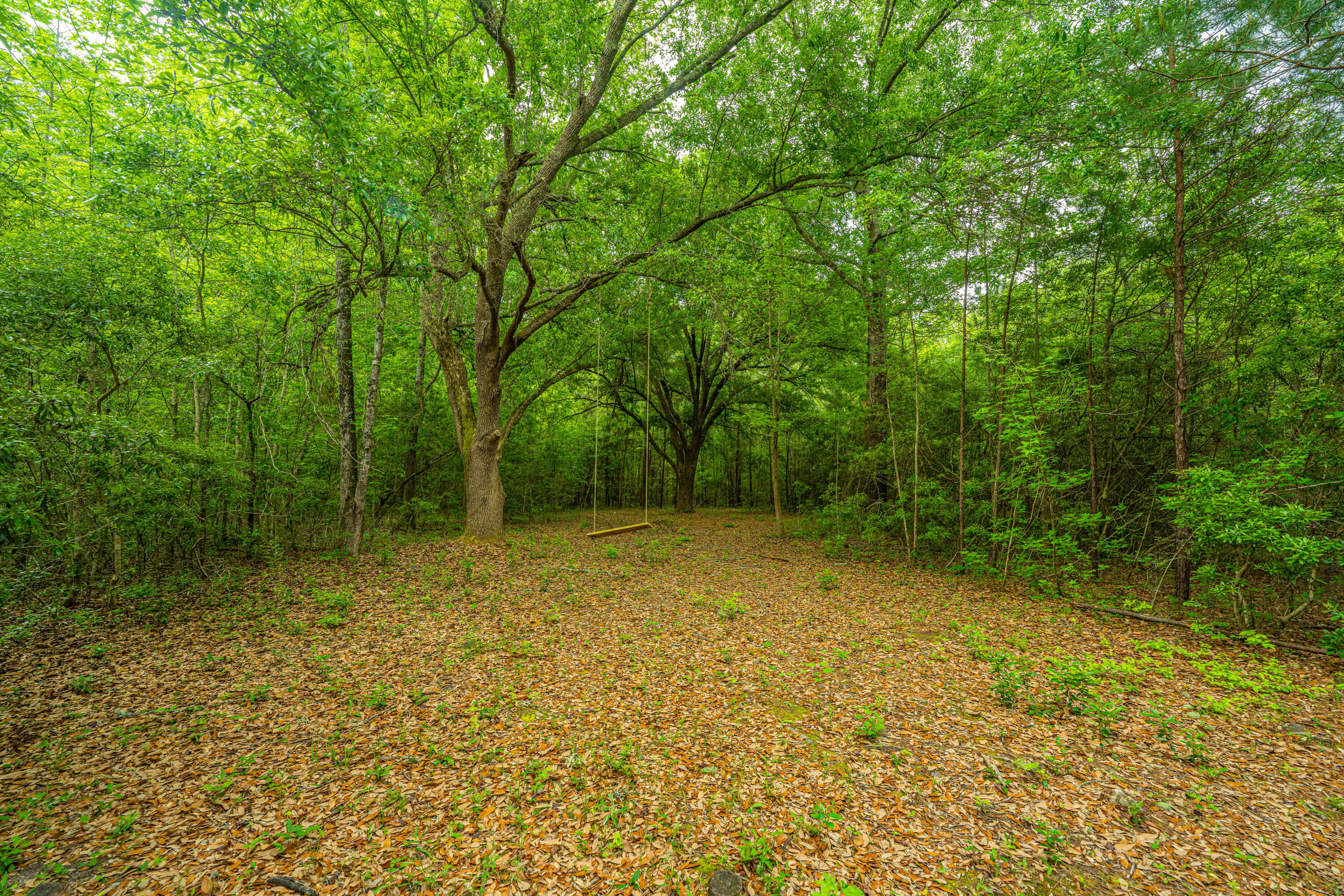 1347 Mandella Road Bonneau, SC 29431 - Photo 22 of 57 1347MandellaRd061
