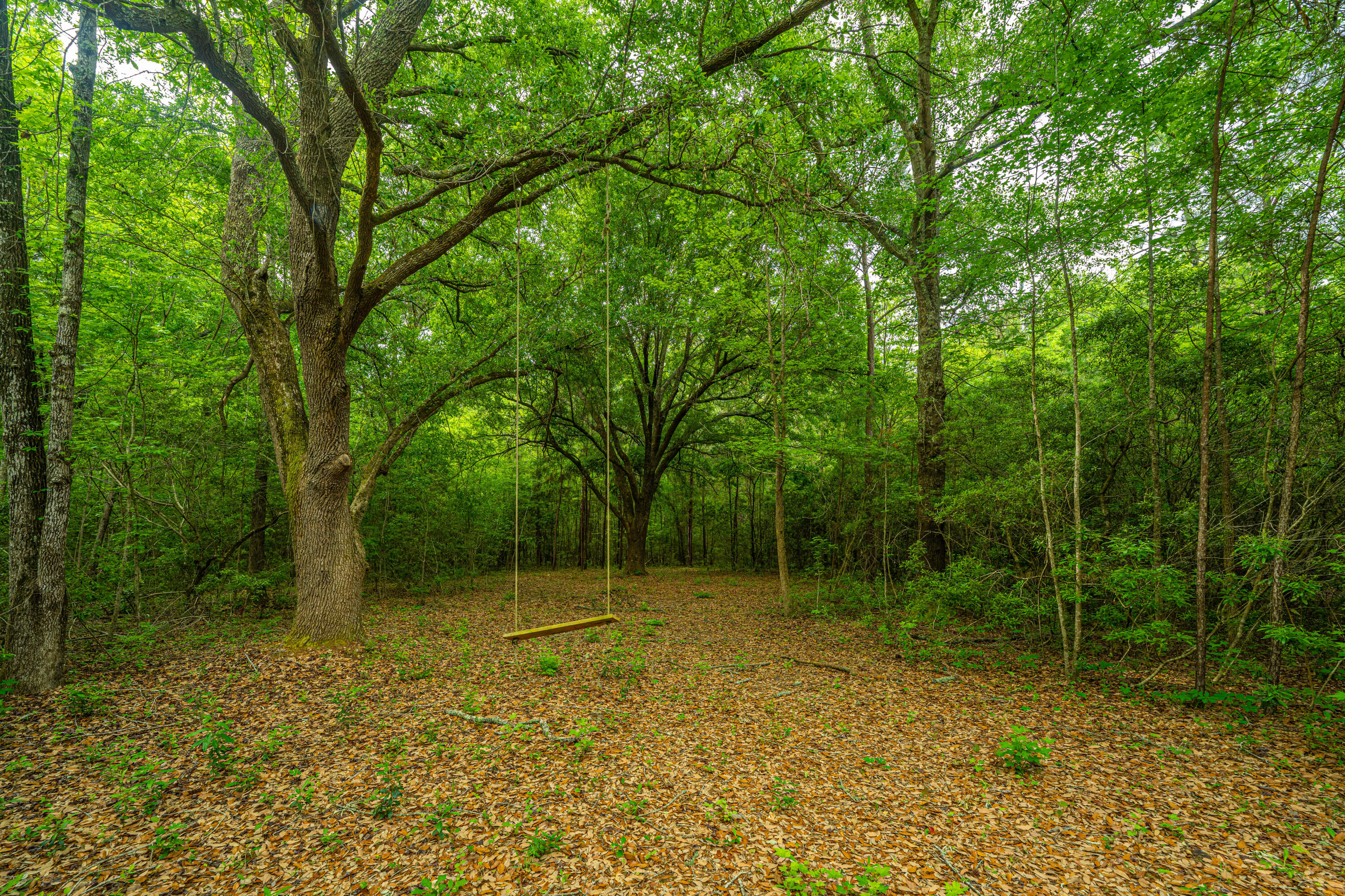 1347 Mandella Road Bonneau, SC 29431 - Photo 23 of 57 1347MandellaRd062