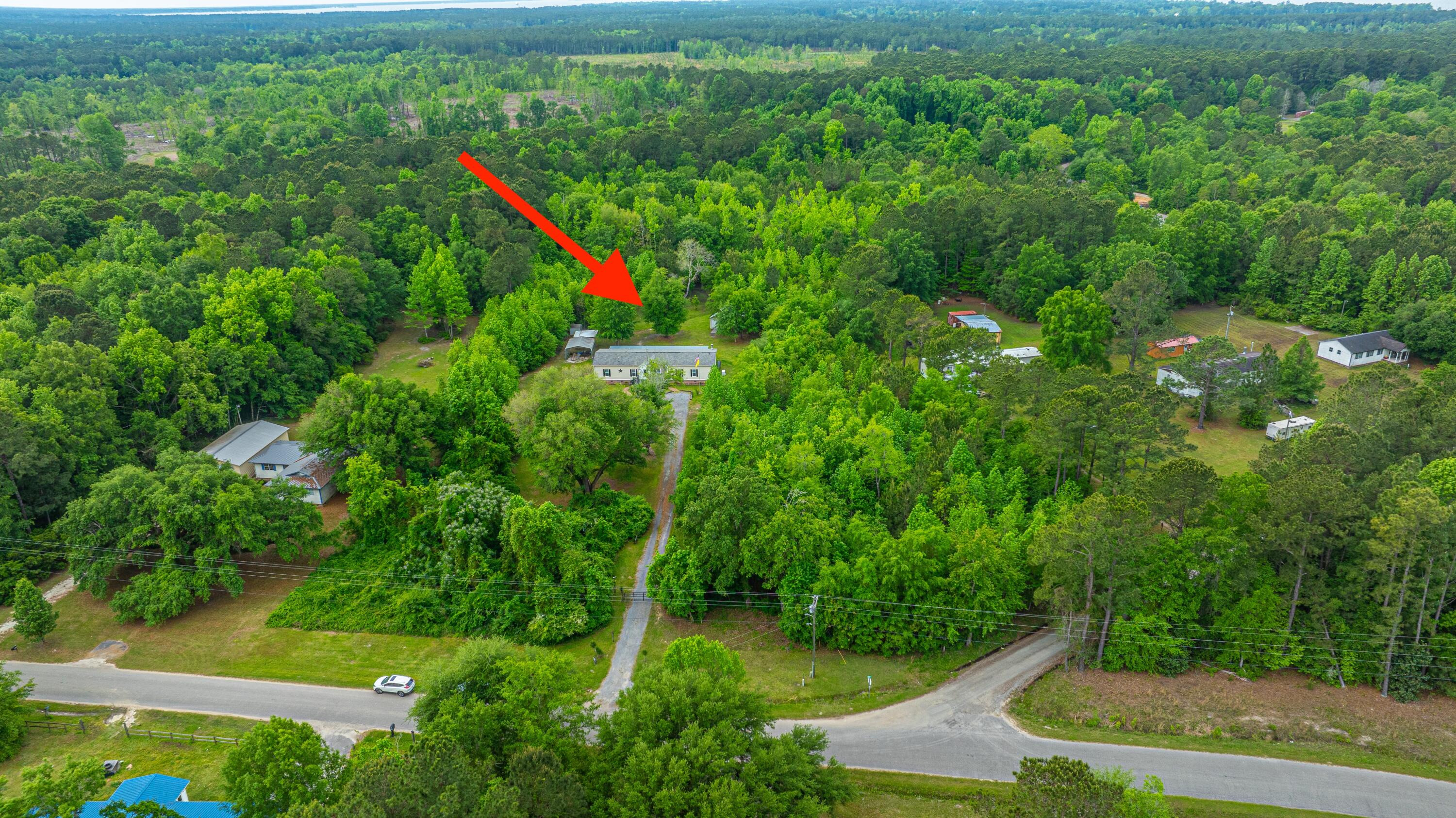 1347 Mandella Road Bonneau, SC 29431 - Photo 28 of 57 1347MandellaRd069