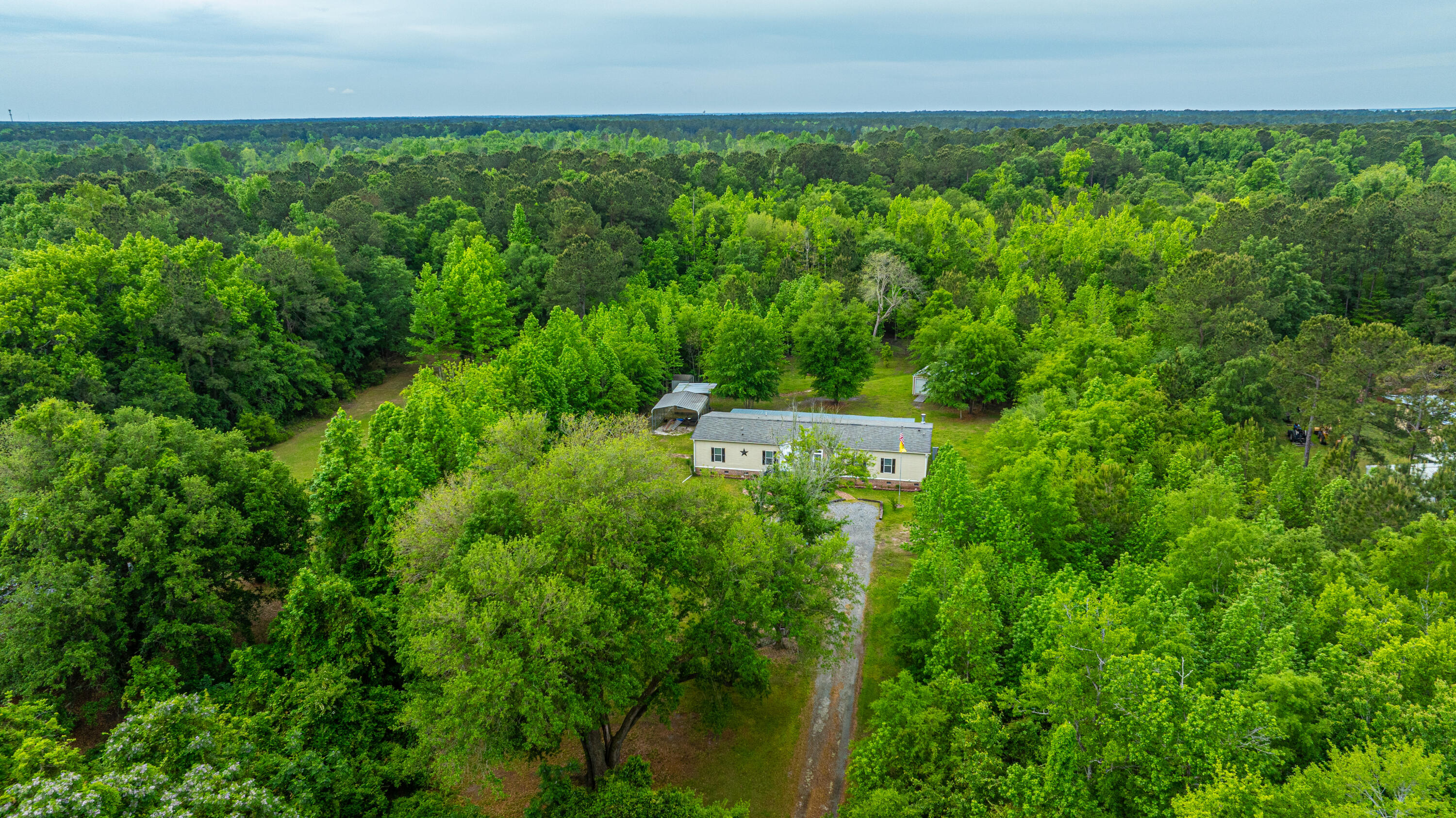 1347 Mandella Road Bonneau, SC 29431 - Photo 57 of 57 1347MandellaRd067