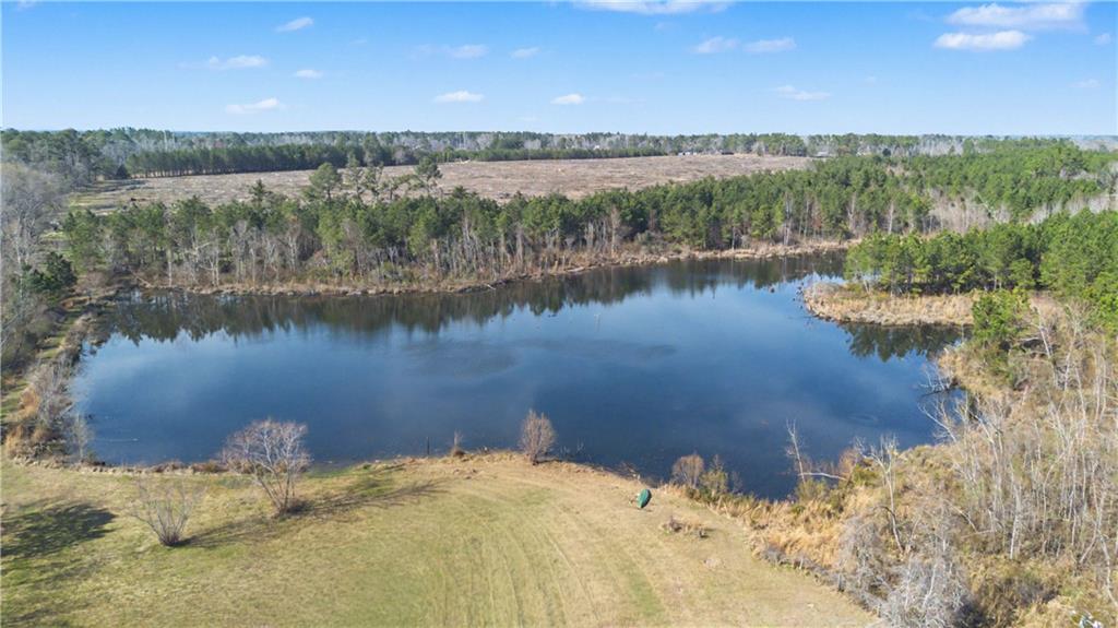 1833 Tom Odum Road Vidalia, GA 30474 - Photo 43 of 59 a view of a lake in between two and trees