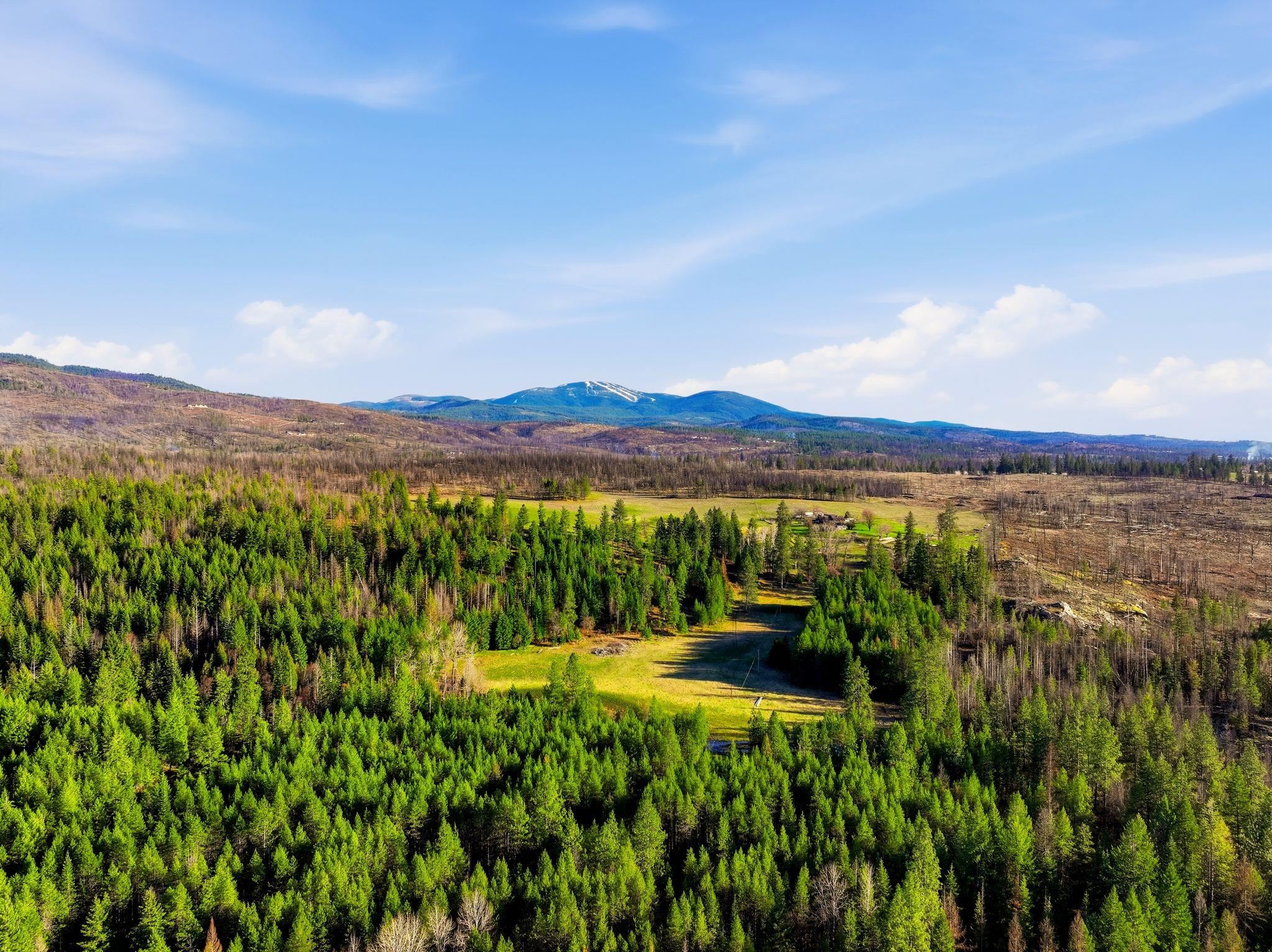 Undisclosed Address Elk, WA 99009 - Photo 45 of 50