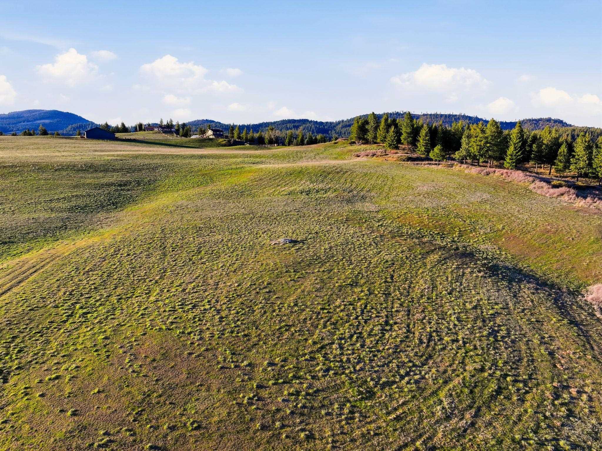 Undisclosed Address Elk, WA 99009 - Photo 5 of 50
