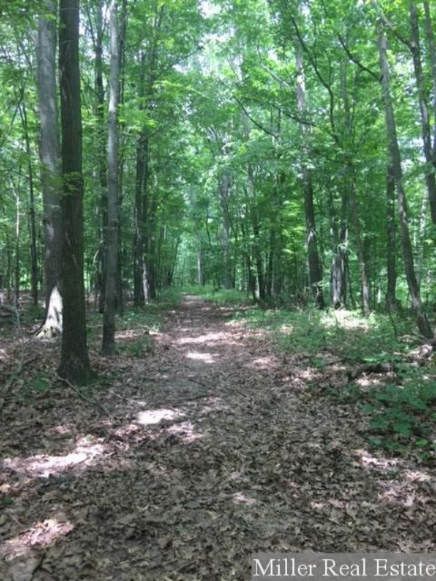 7563 East State Road Nashville, MI 49073 - Photo 58 of 70 IMG_7383