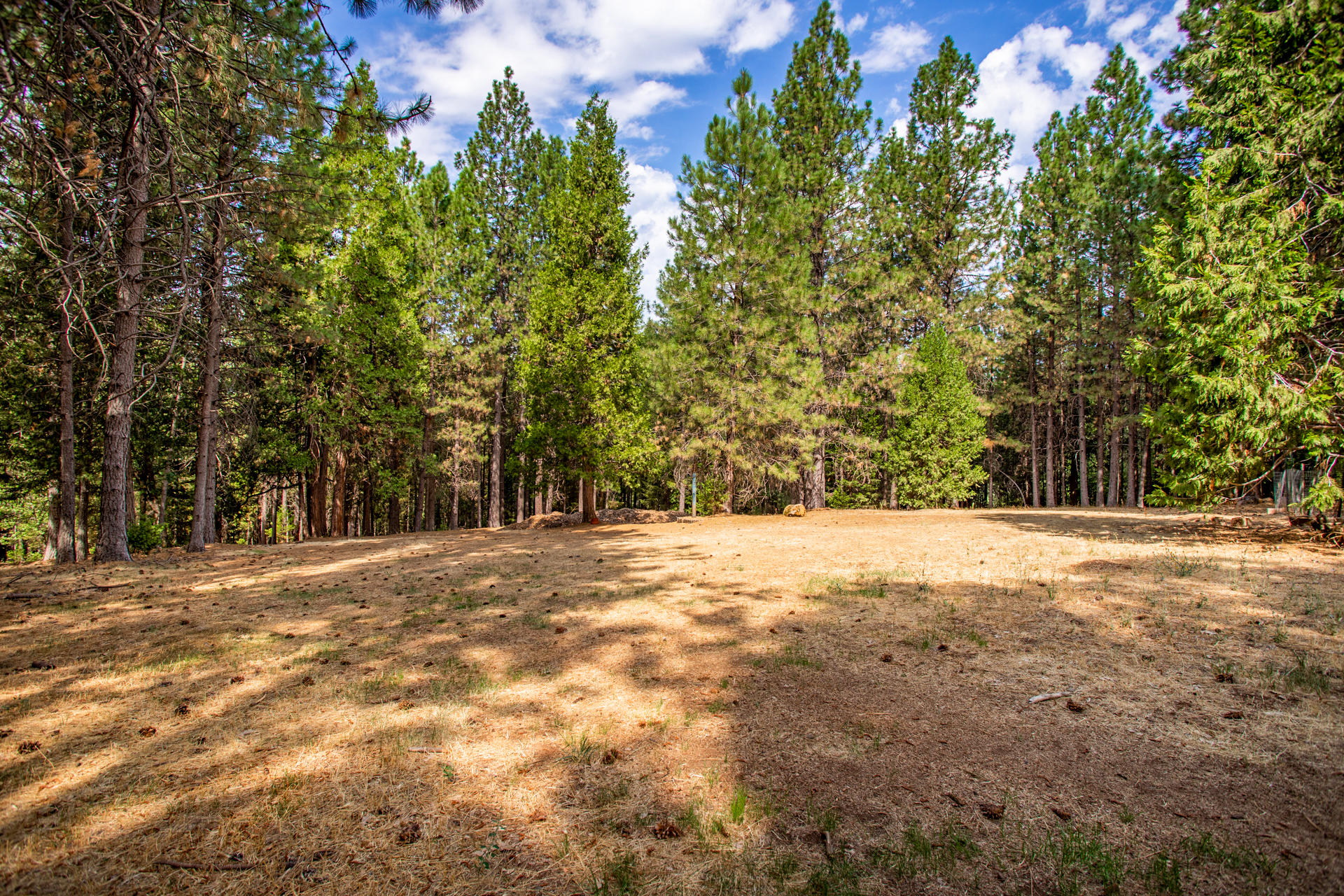 14938 Phillips Road Oak Run, CA 96069 - Photo 25 of 30 85 Land