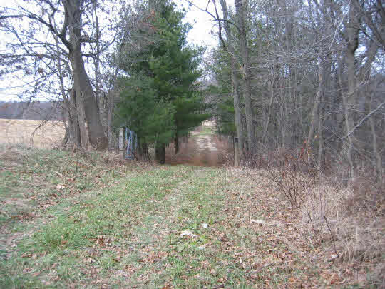 9000 East Felts Road Davis, IL 61019 - Photo 1 of 6 a backyard of a house with lots of green space